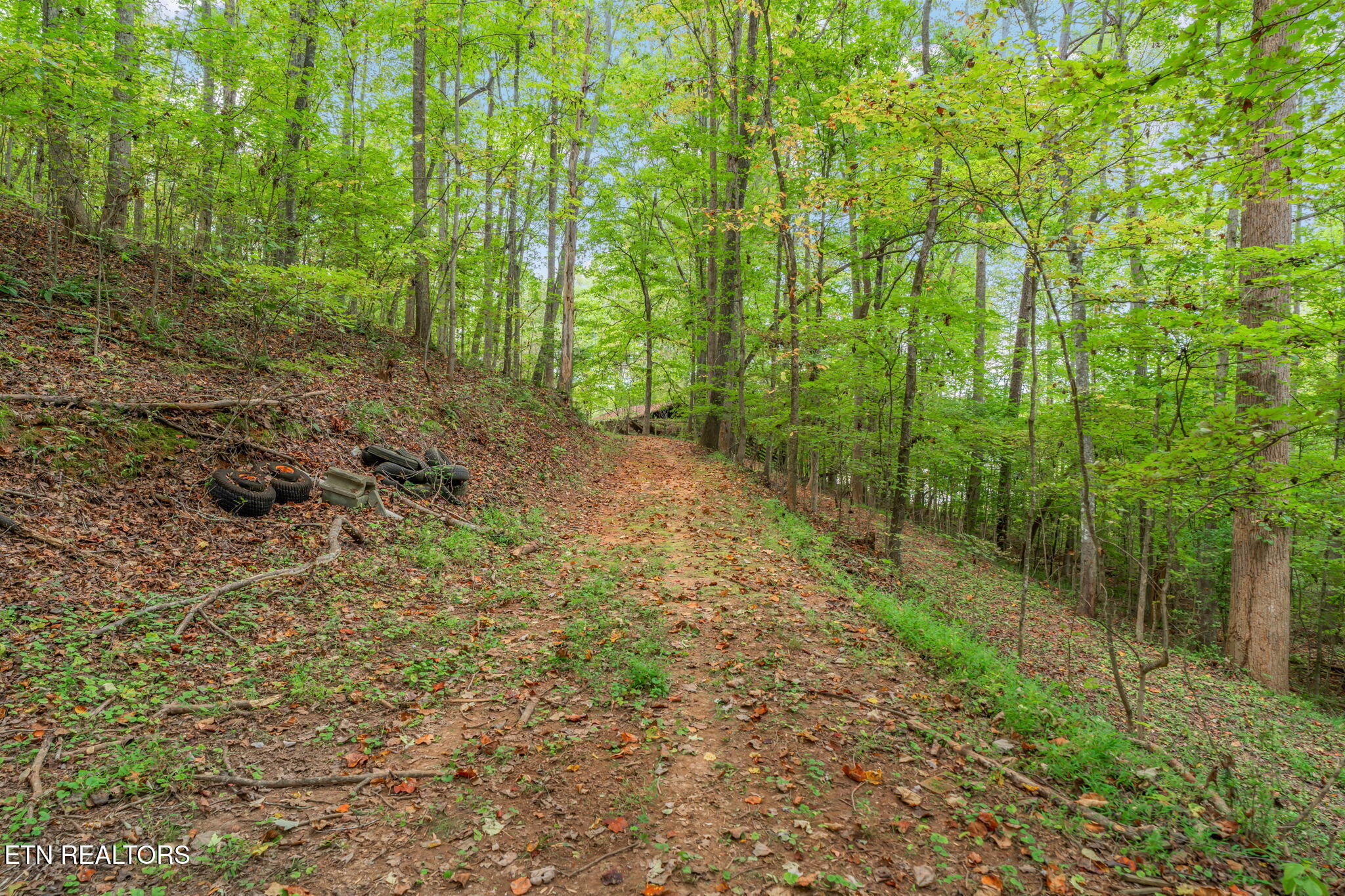 101 142 Autumn Lane Property Photo 32