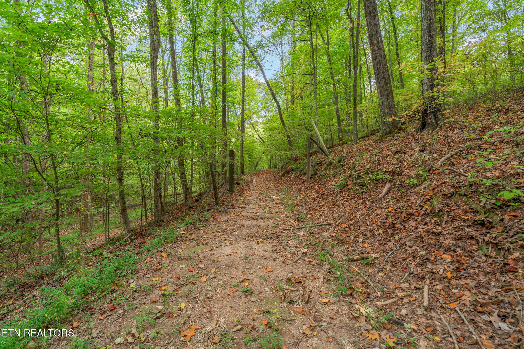 101 142 Autumn Lane Property Photo 33