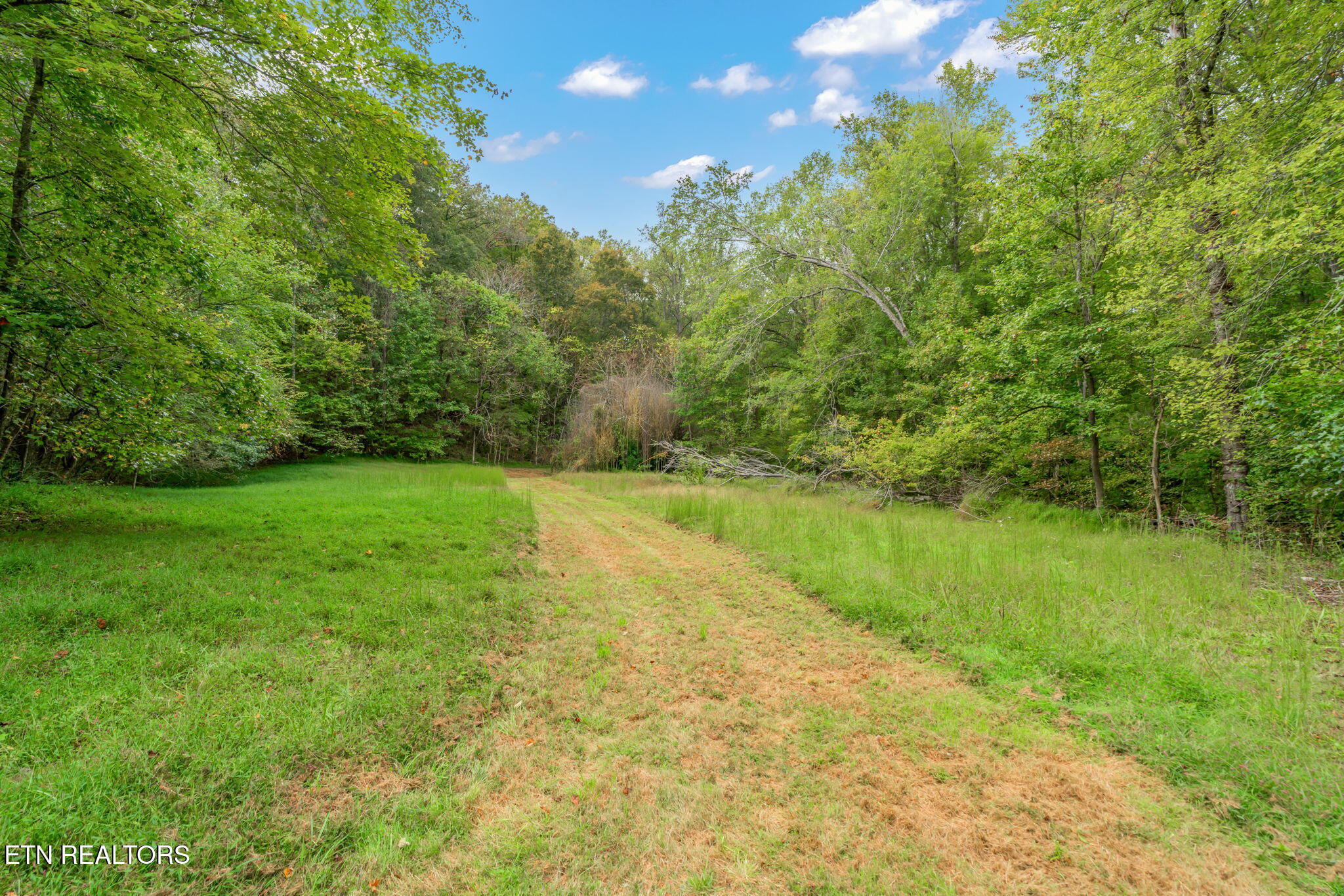 101 142 Autumn Lane Property Photo 34