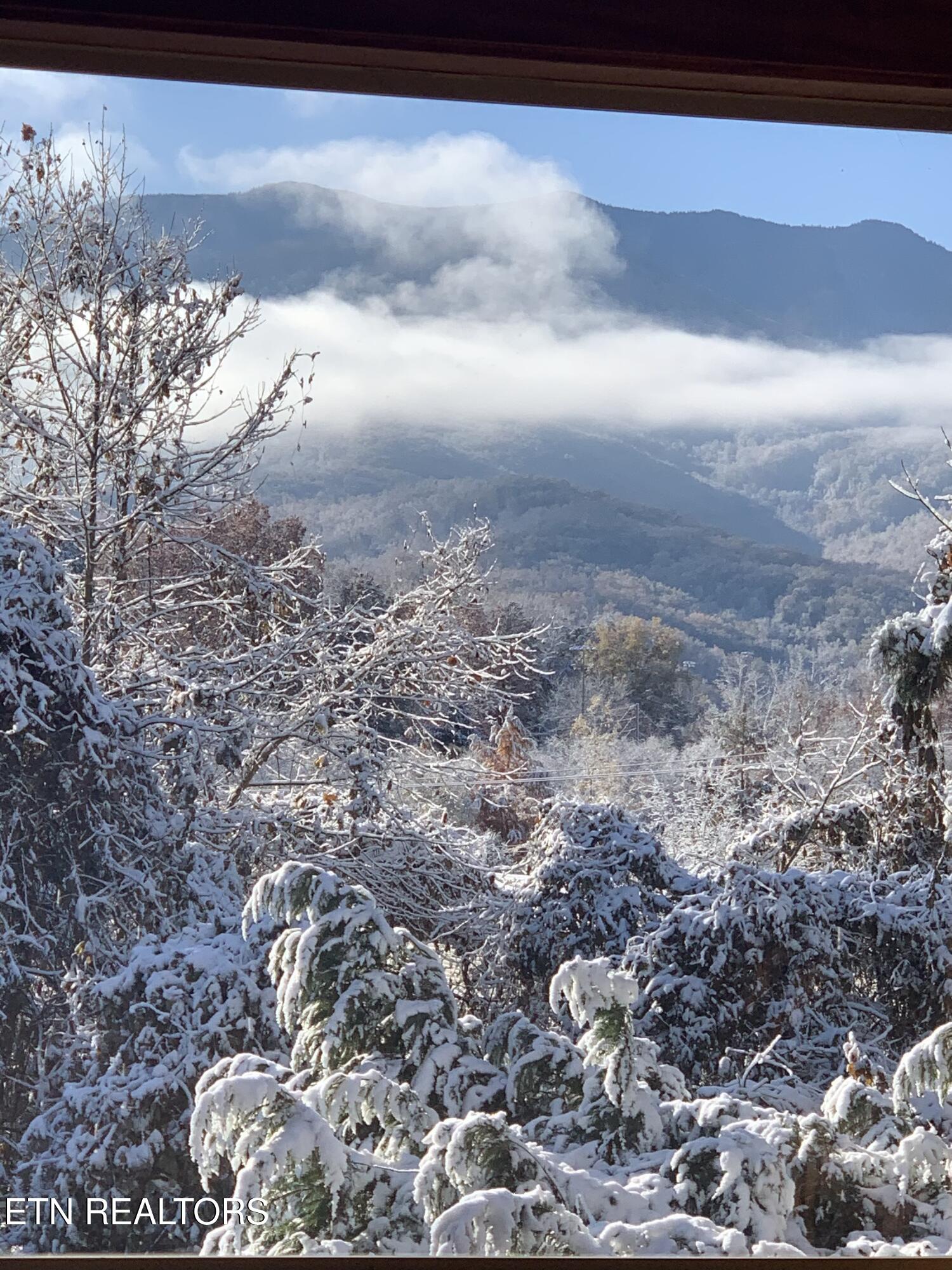 1716 Smoky Hills Drive Property Photo 58