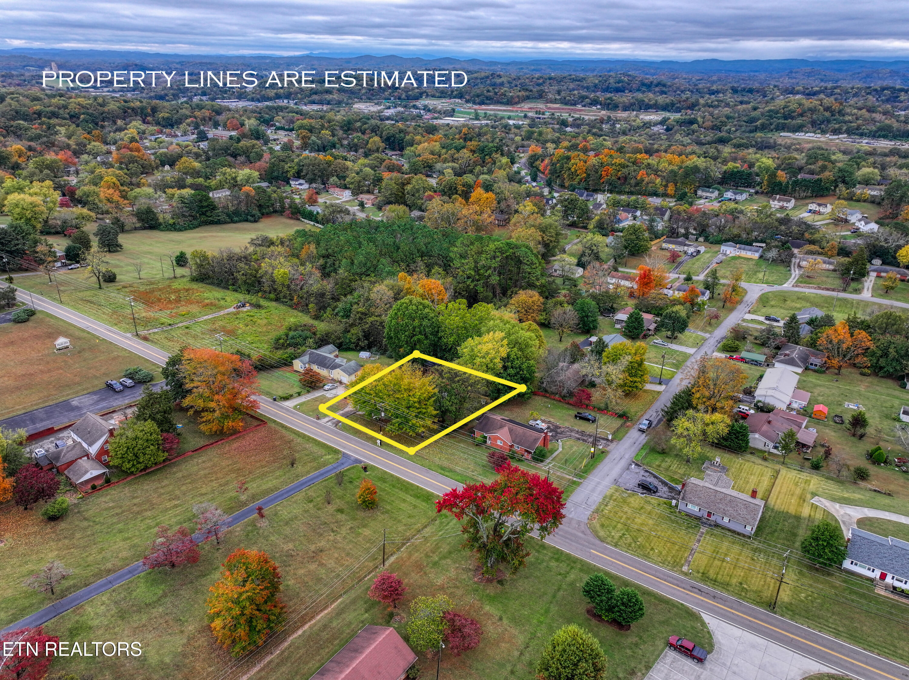 3810 Buffat Mill Rd Property Photo 43