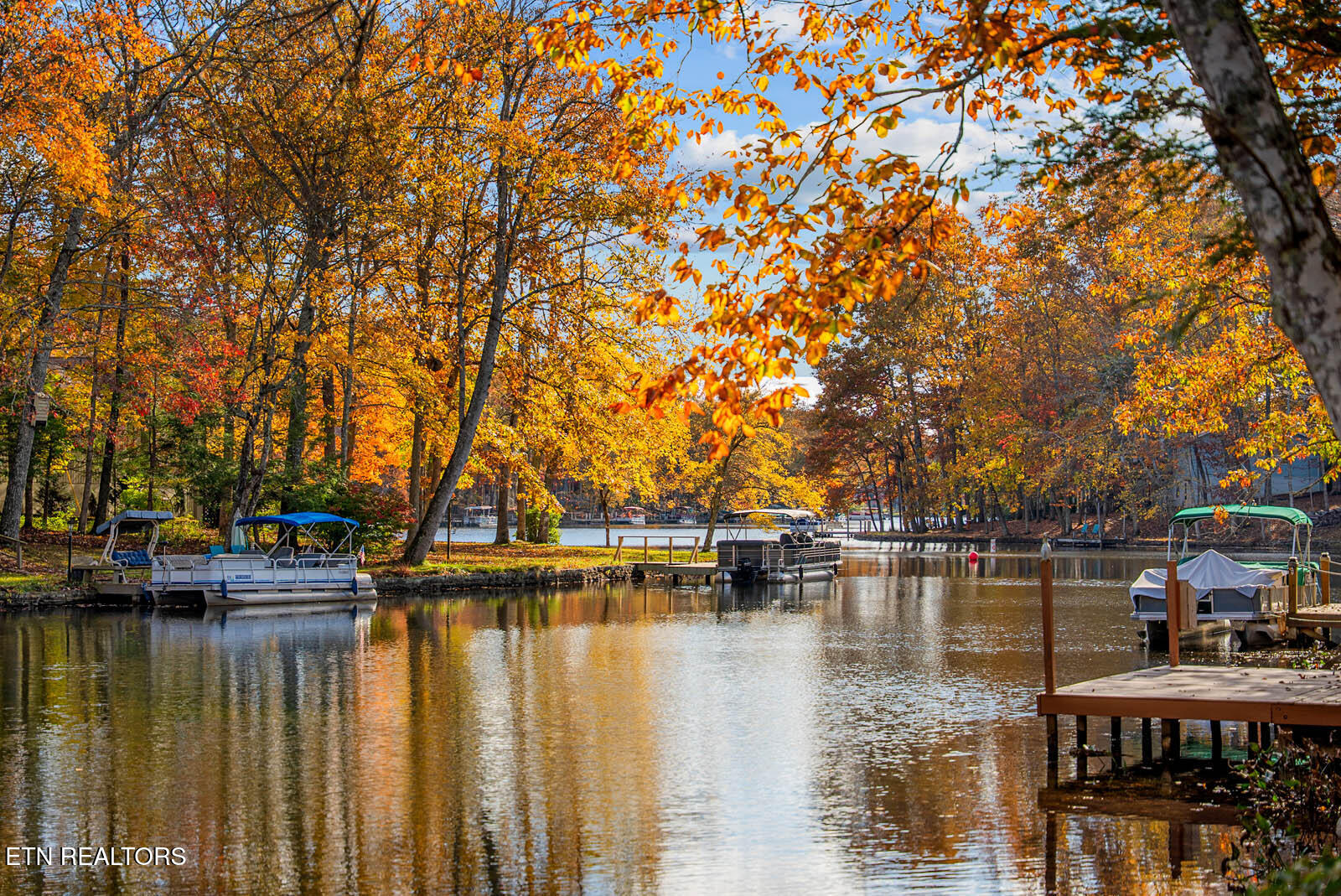 161 Ivy Brook Ln Property Photo 10