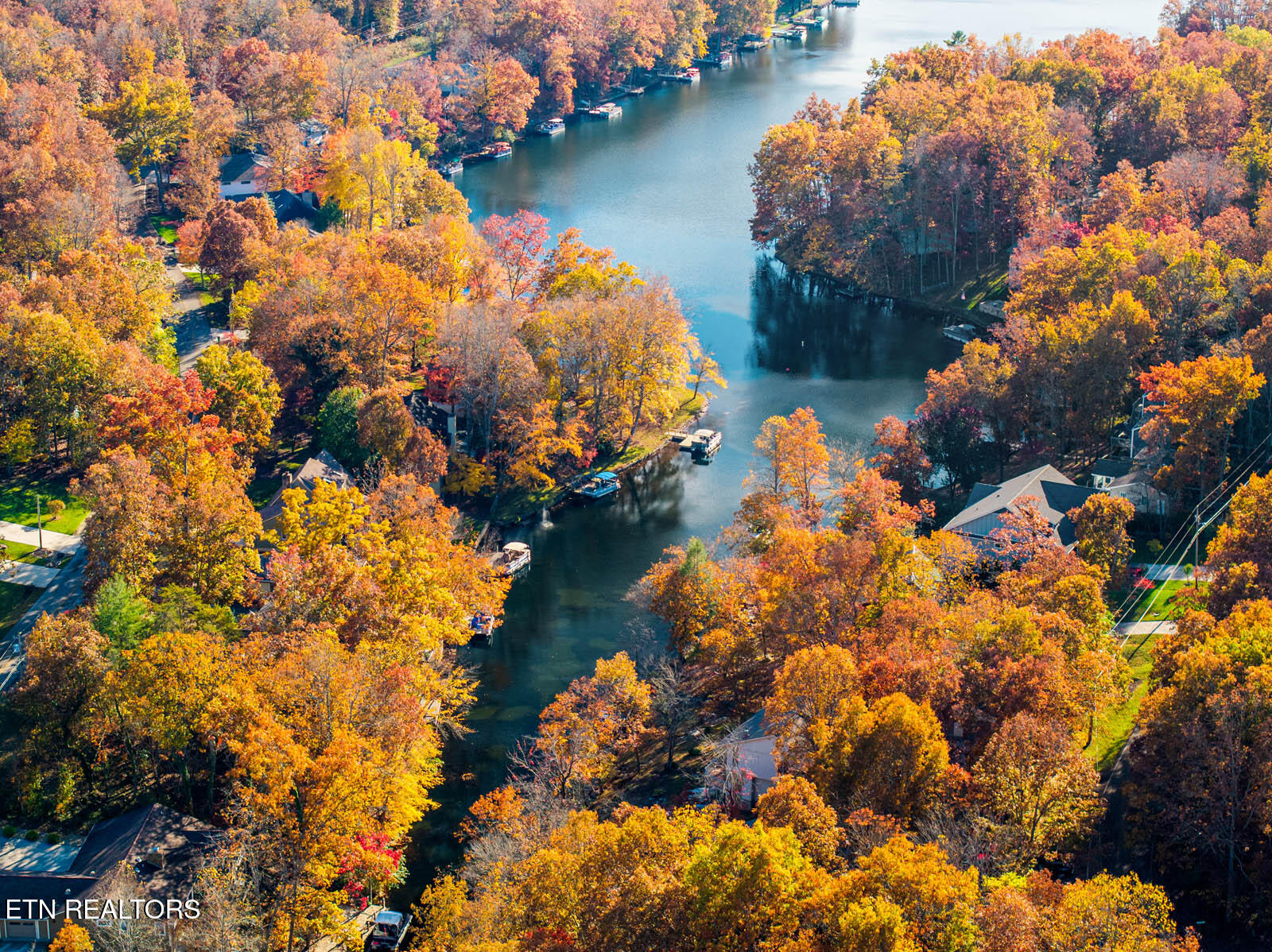 161 Ivy Brook Ln Property Photo 13