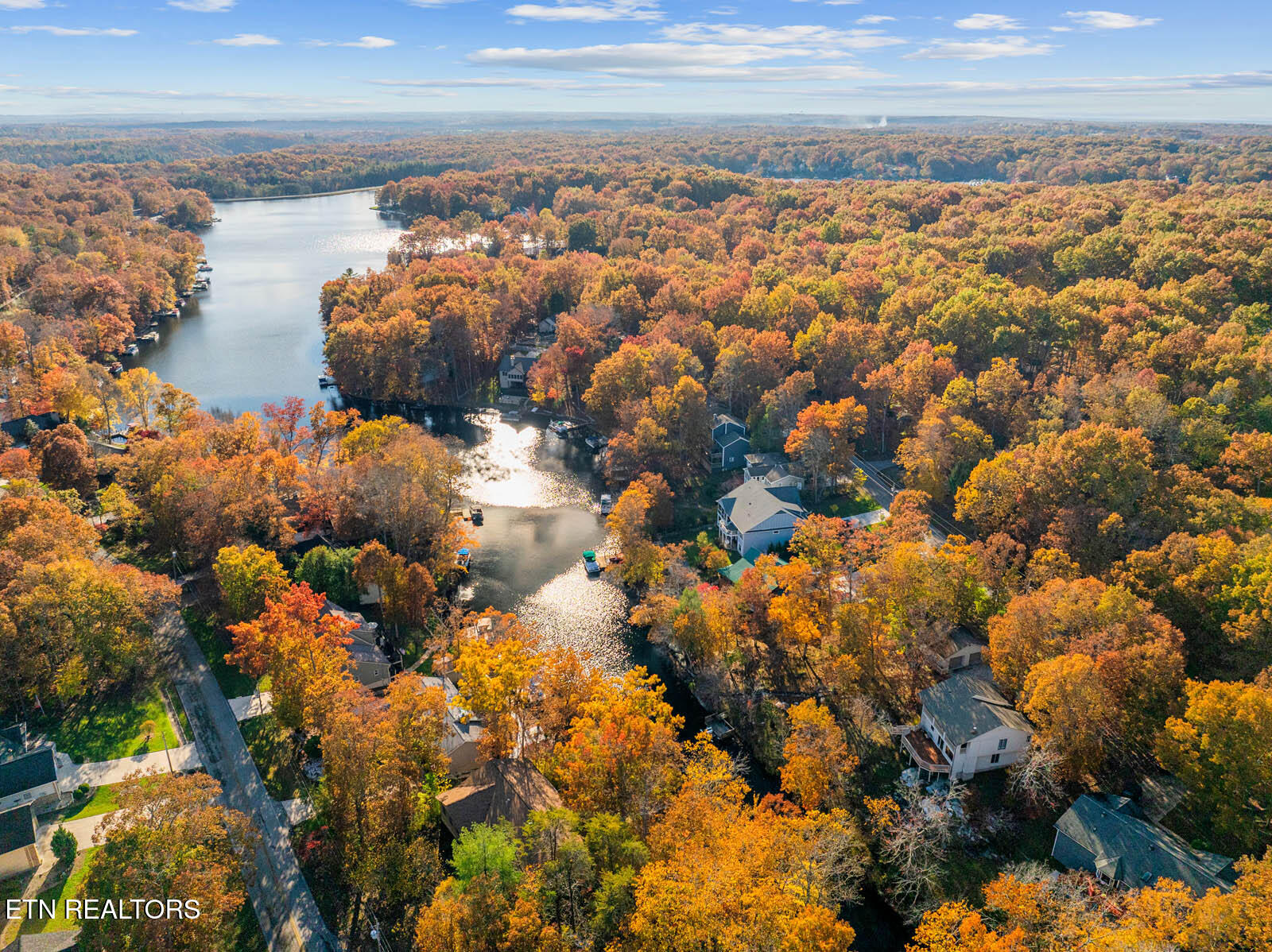 161 Ivy Brook Ln Property Photo 14