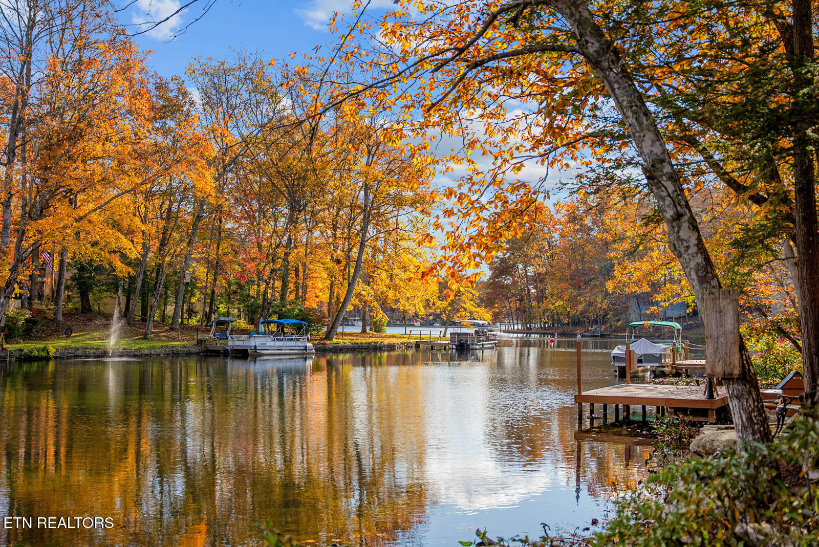 161 Ivy Brook Ln Property Photo 50
