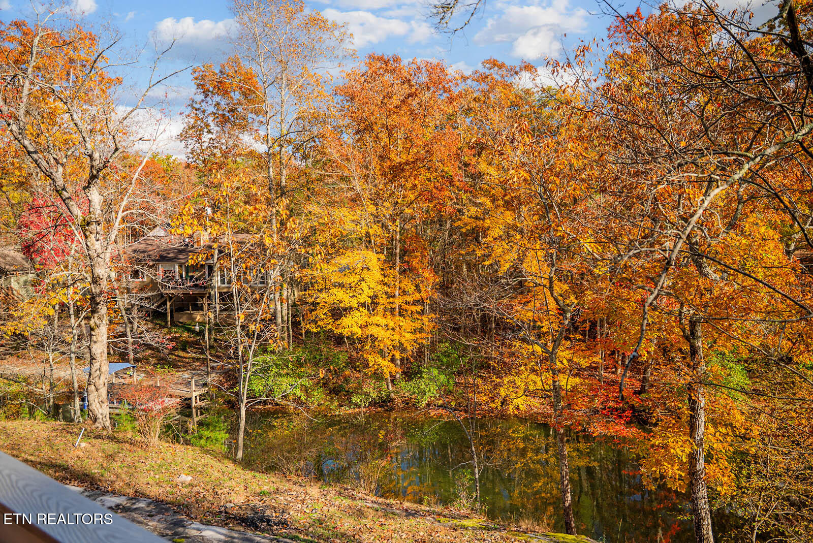161 Ivy Brook Ln Property Photo 51