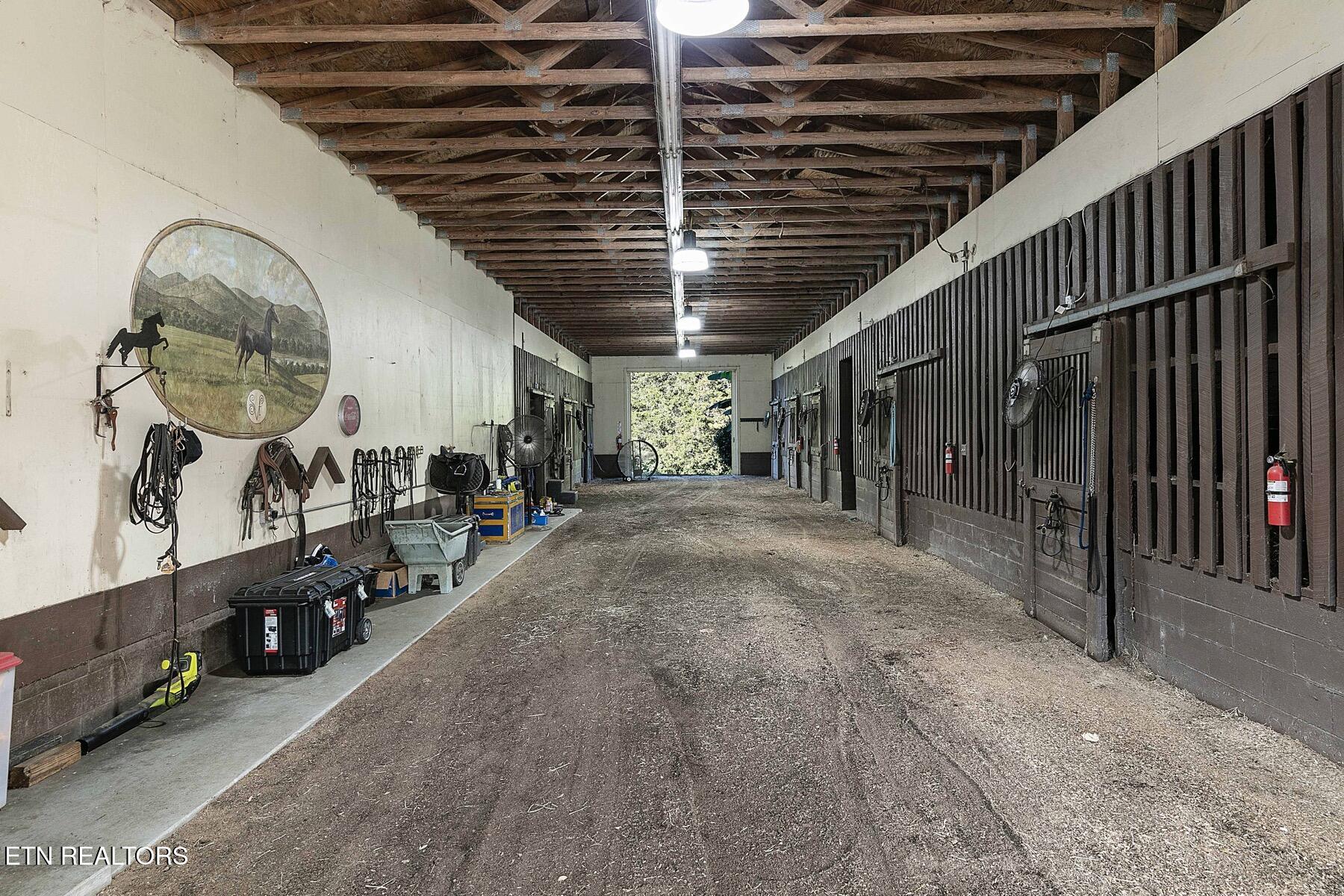 307 Triplett Lane Property Photo 49