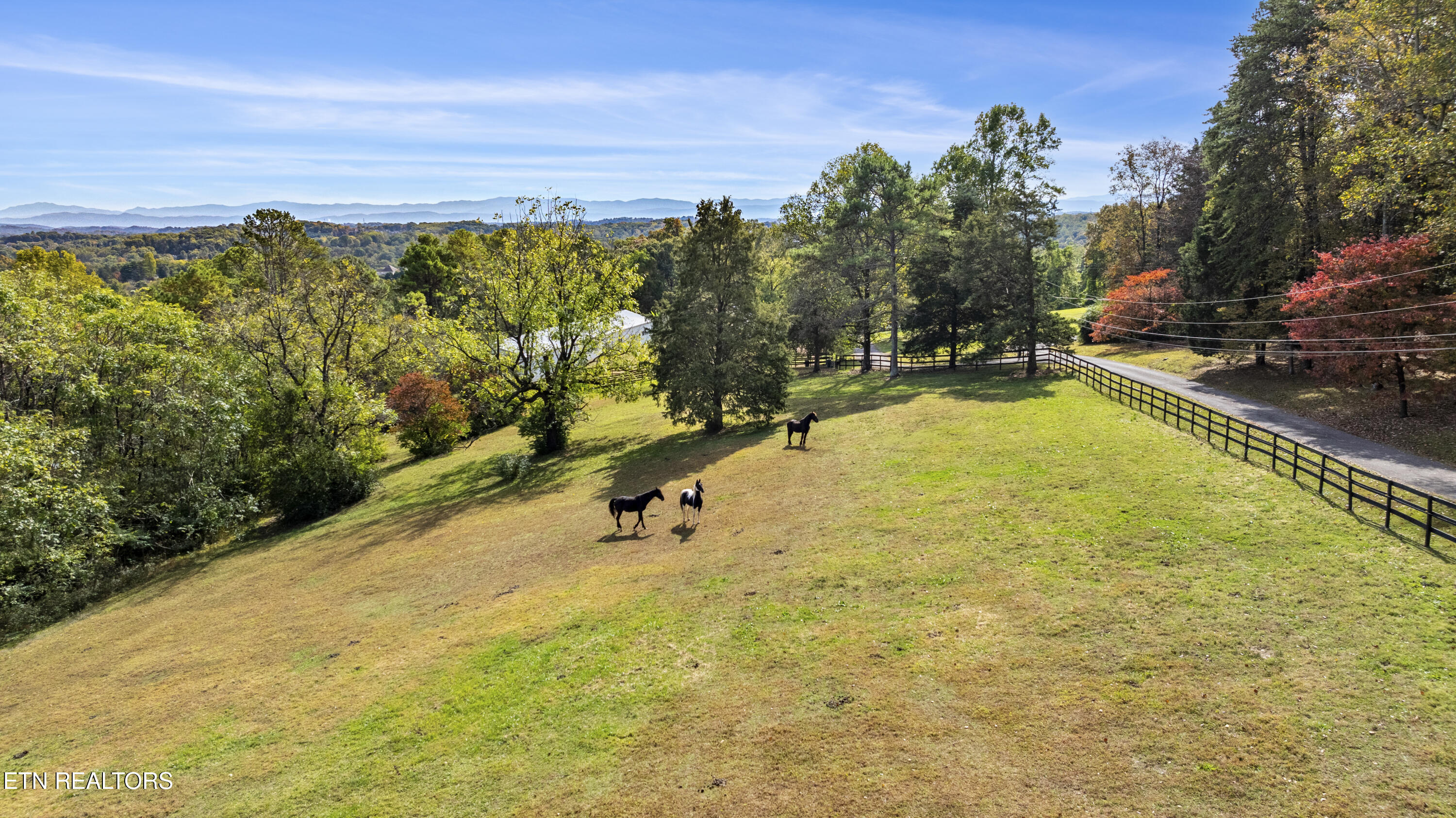 307 Triplett Lane Property Photo 59