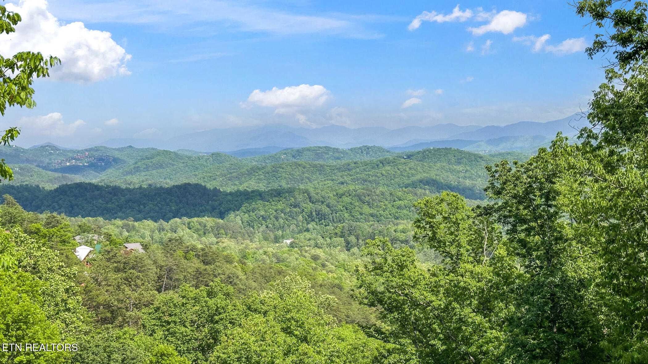 2631 Sawmill Branch Drive Property Photo 43