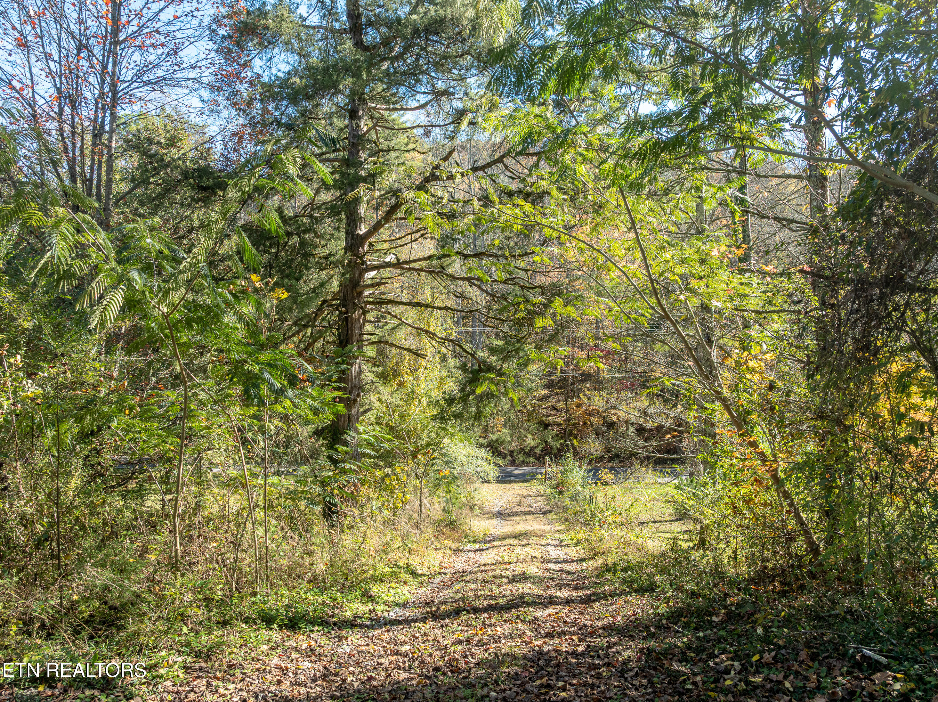 5508 Old Walland Hwy Hwy Property Photo 41