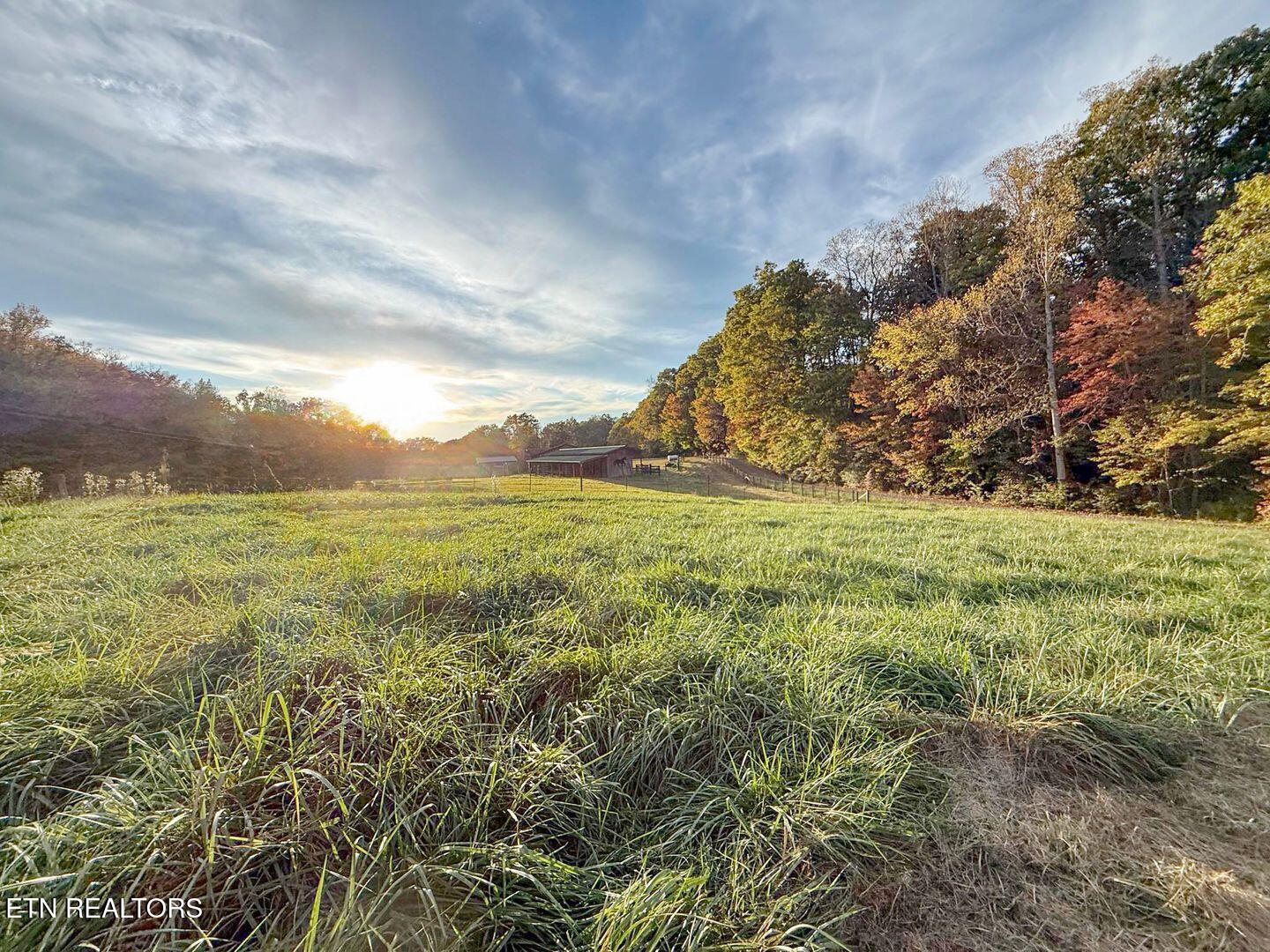 799 Glass House Rd Property Photo 44