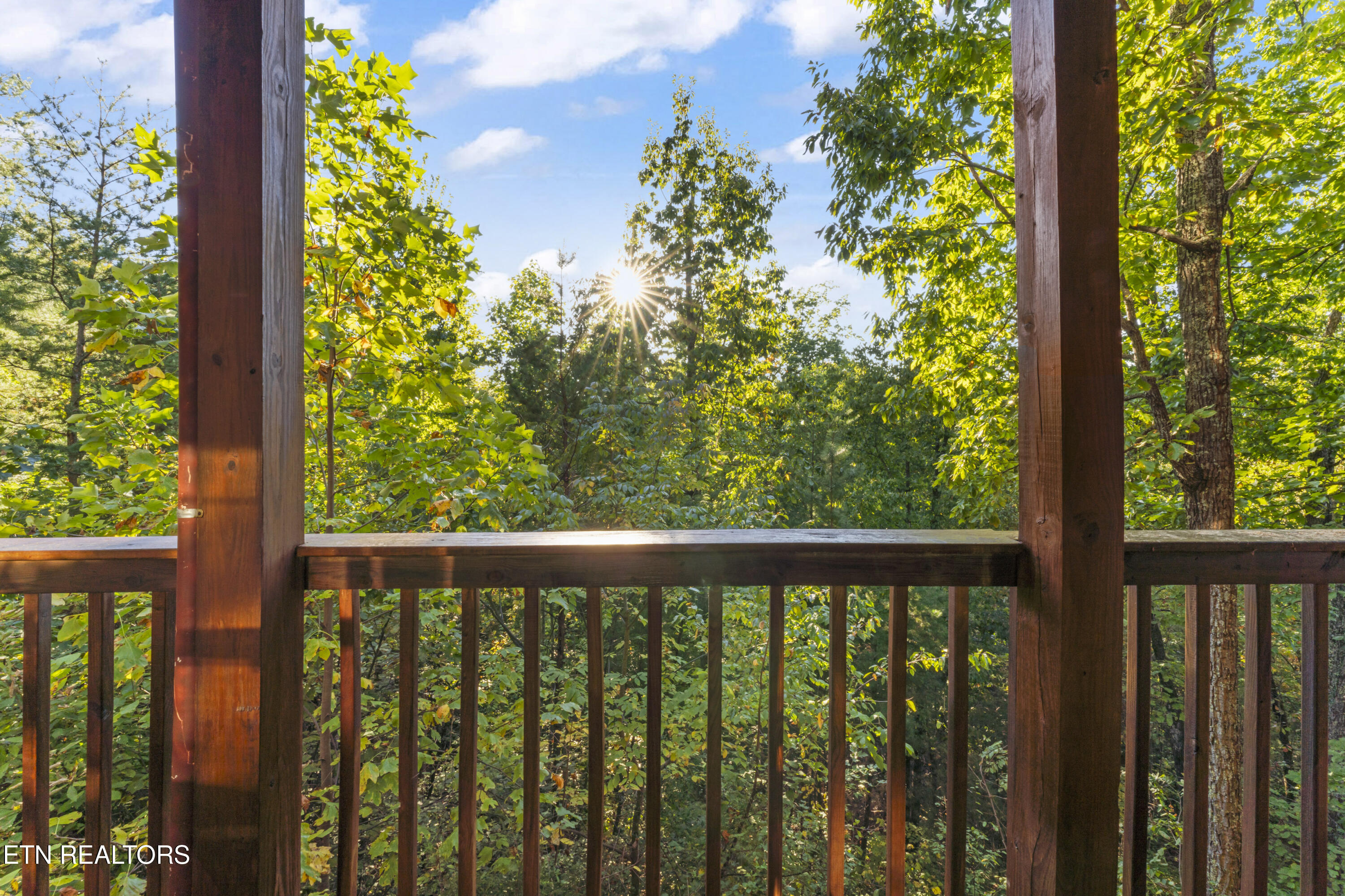 1550 Bears Den Way Property Photo 37