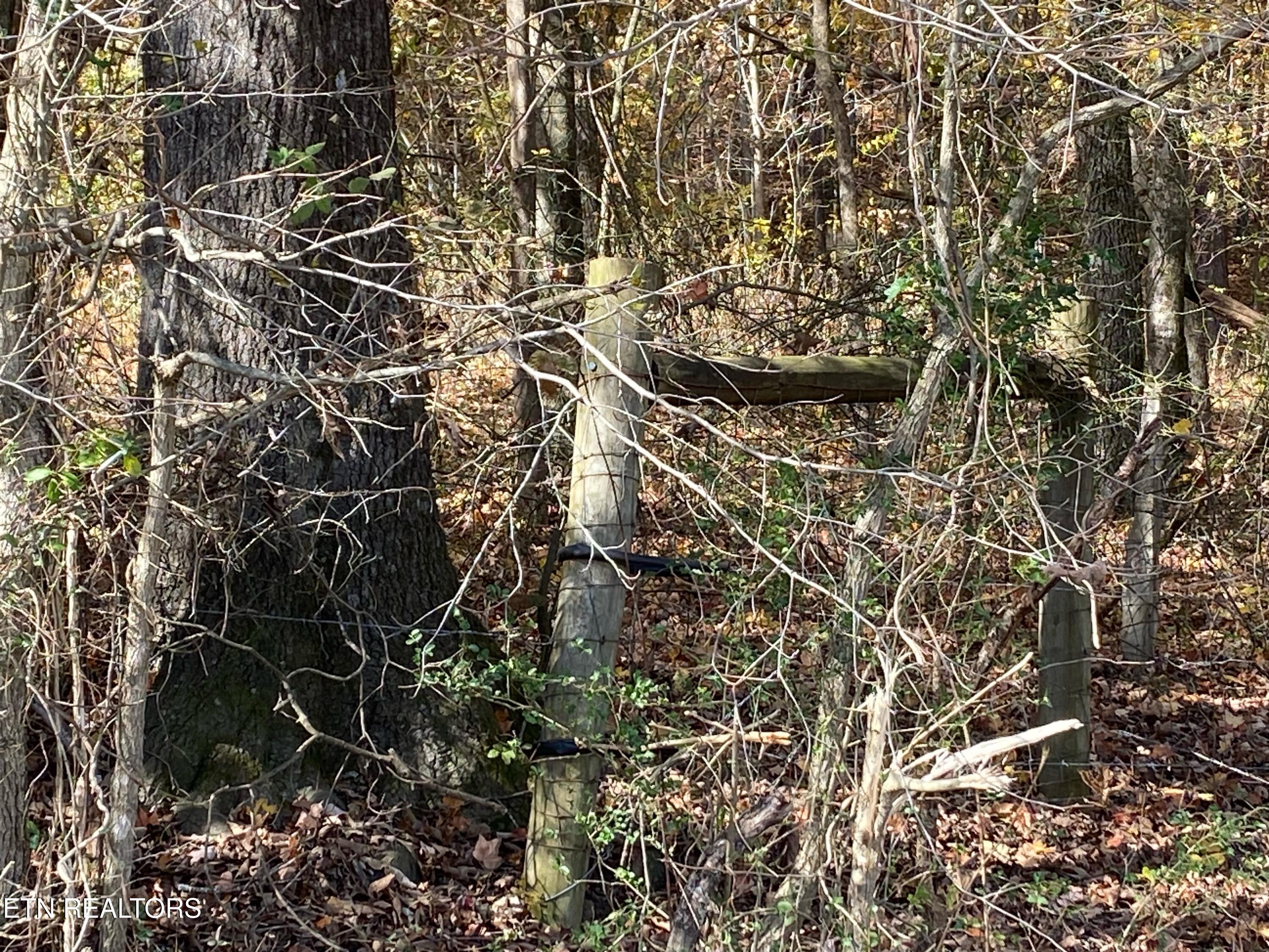 00 County Road 62 Property Photo 3