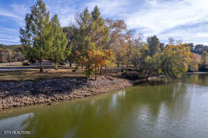 Lot 41 Espalier Drive Property Photo 29