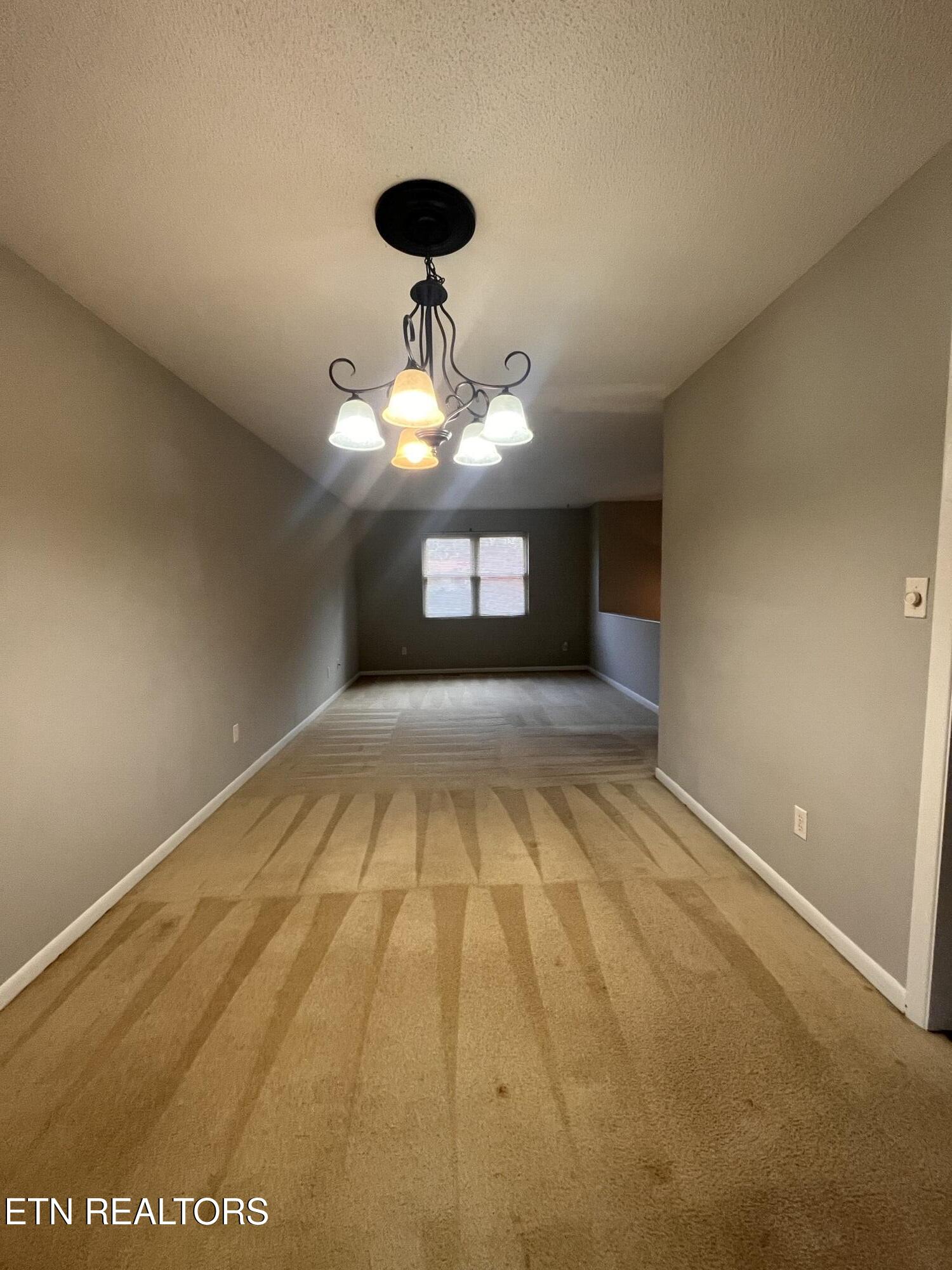 1113 Scottie Lane Property Photo 4