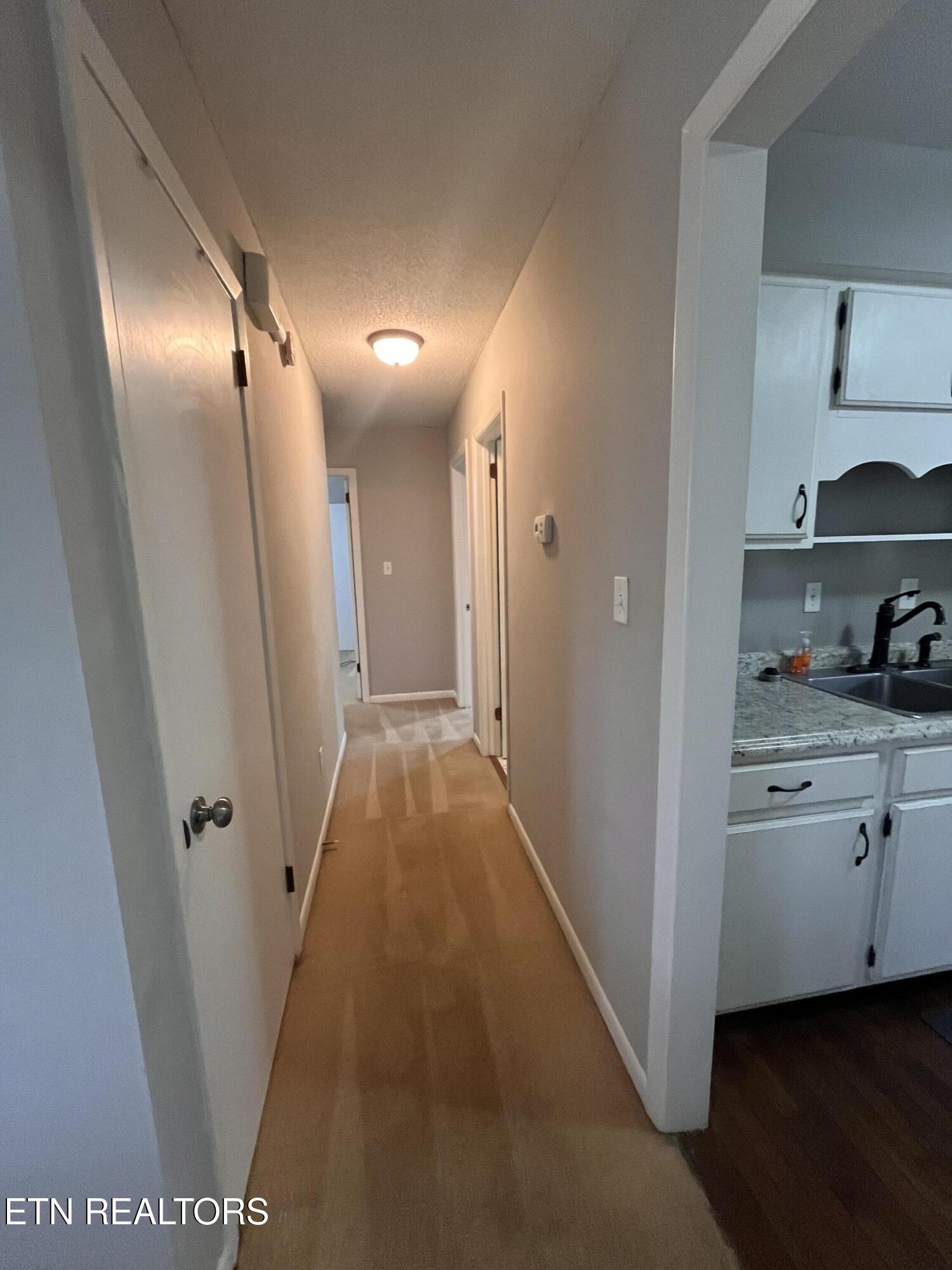 1113 Scottie Lane Property Photo 6