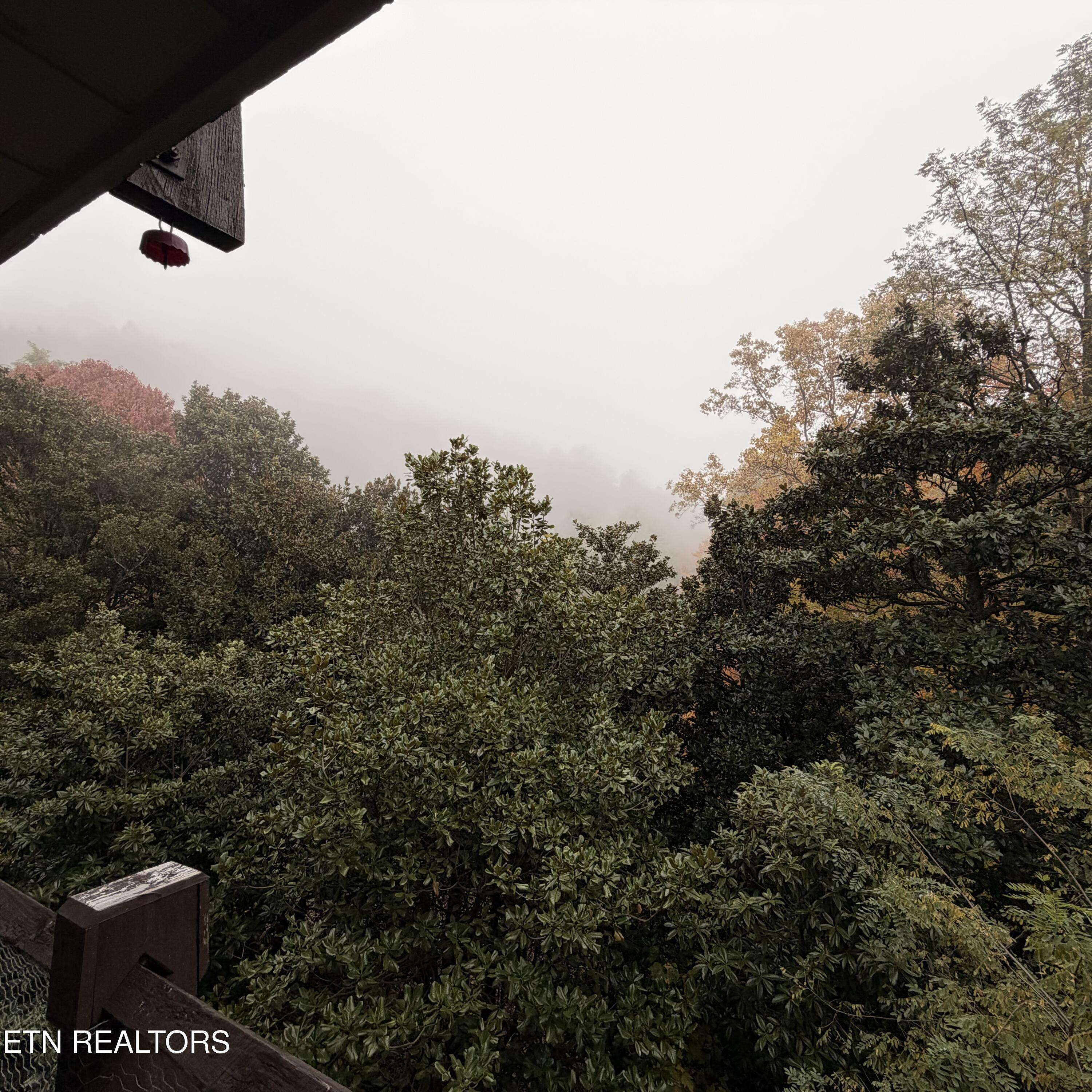 1081 Cove Rd Property Photo 11