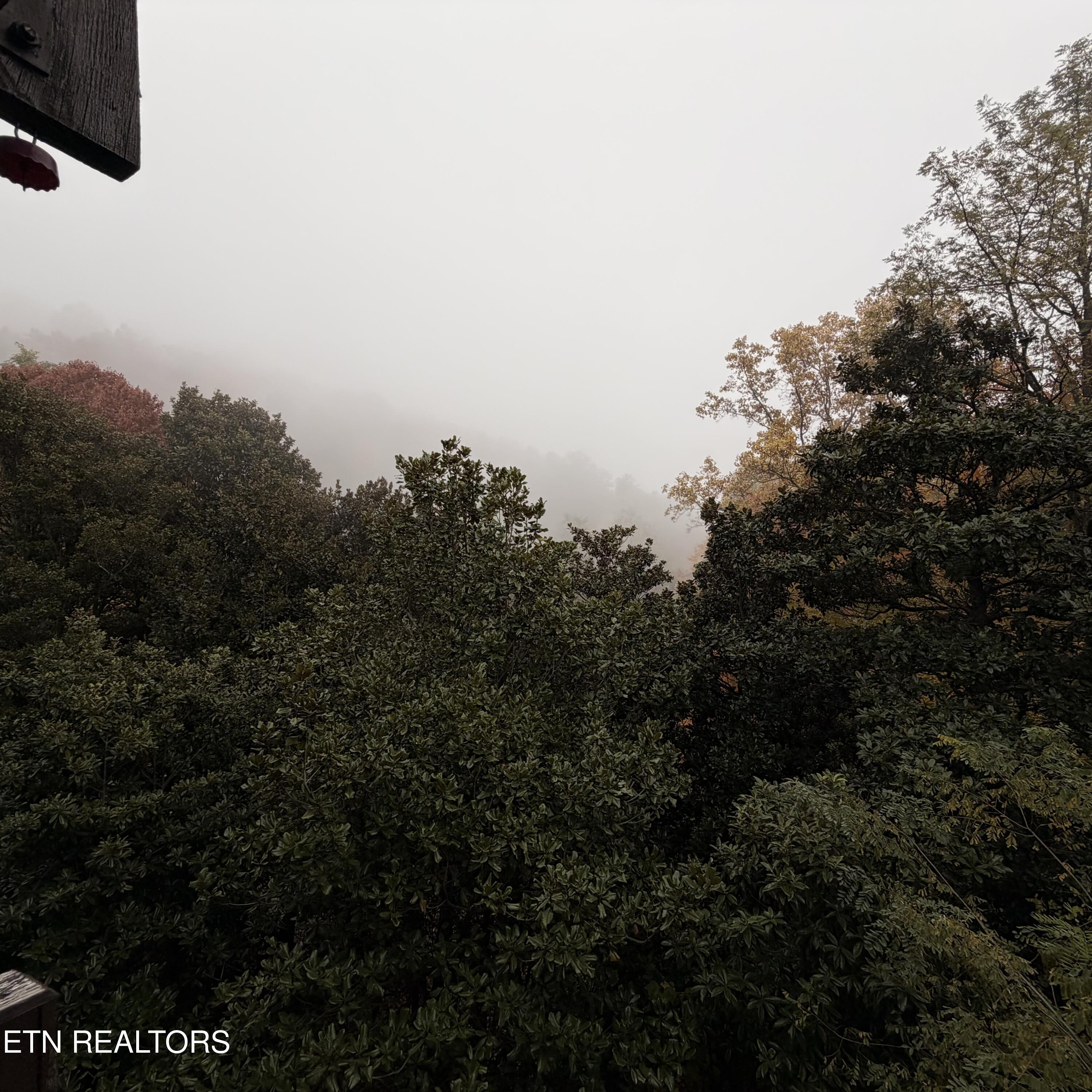 1081 Cove Rd Property Photo 12