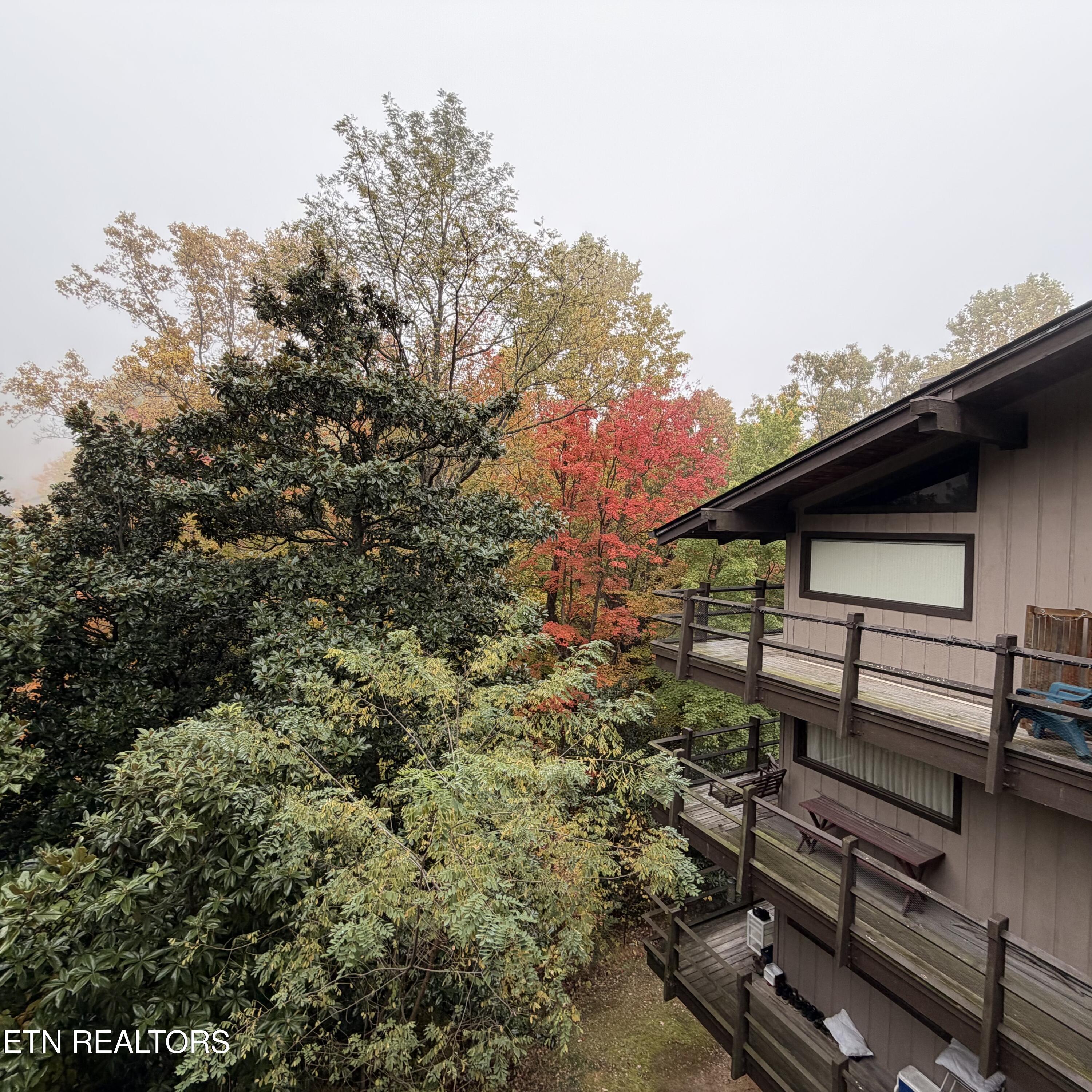 1081 Cove Rd Property Photo 13