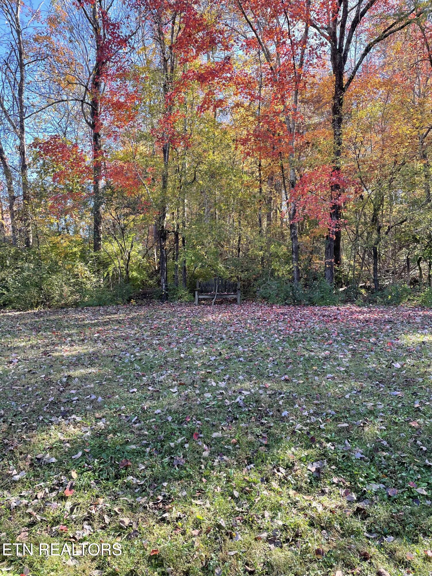 109 Eastridge Drive Property Photo 7