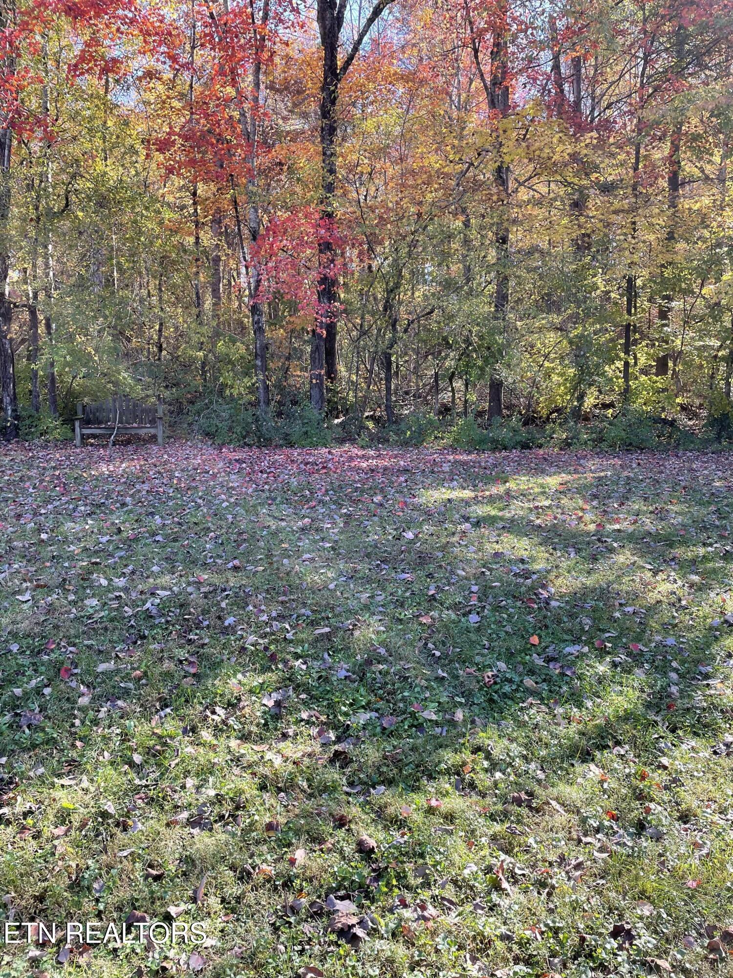 109 Eastridge Drive Property Photo 8