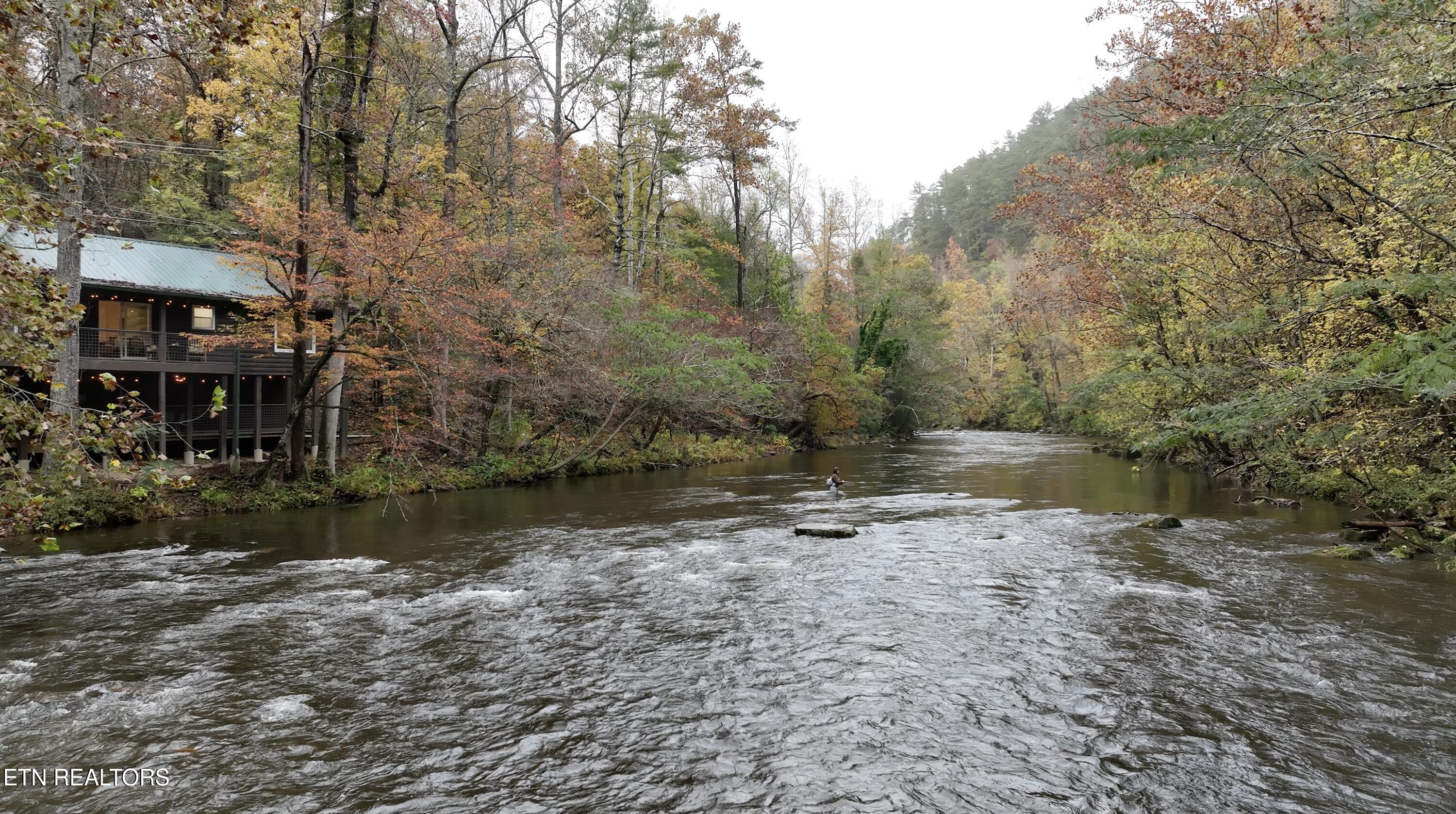 6316 Old Walland Hwy Property Photo 4