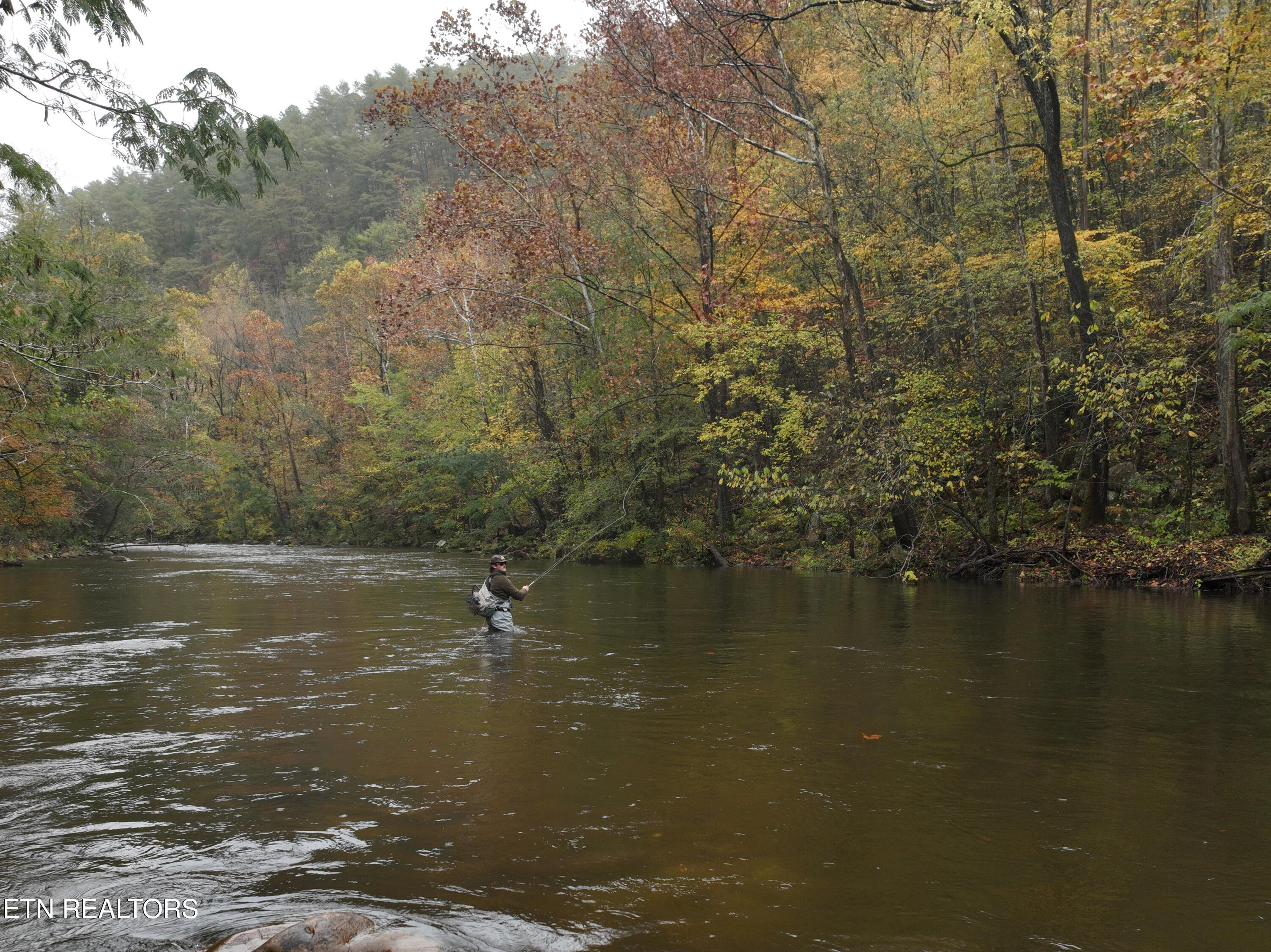 6316 Old Walland Hwy Property Photo 6