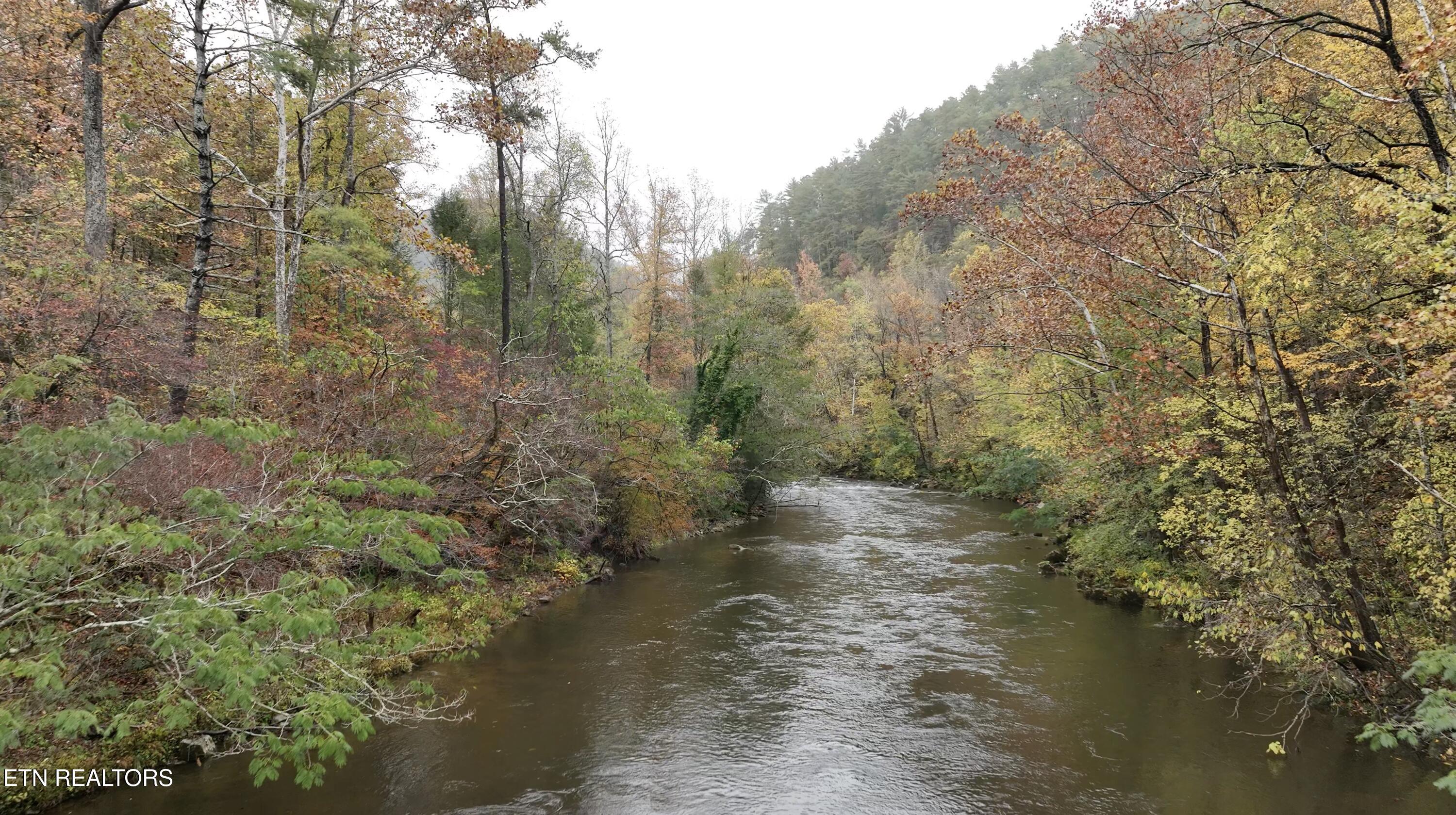 6316 Old Walland Hwy Property Photo 40