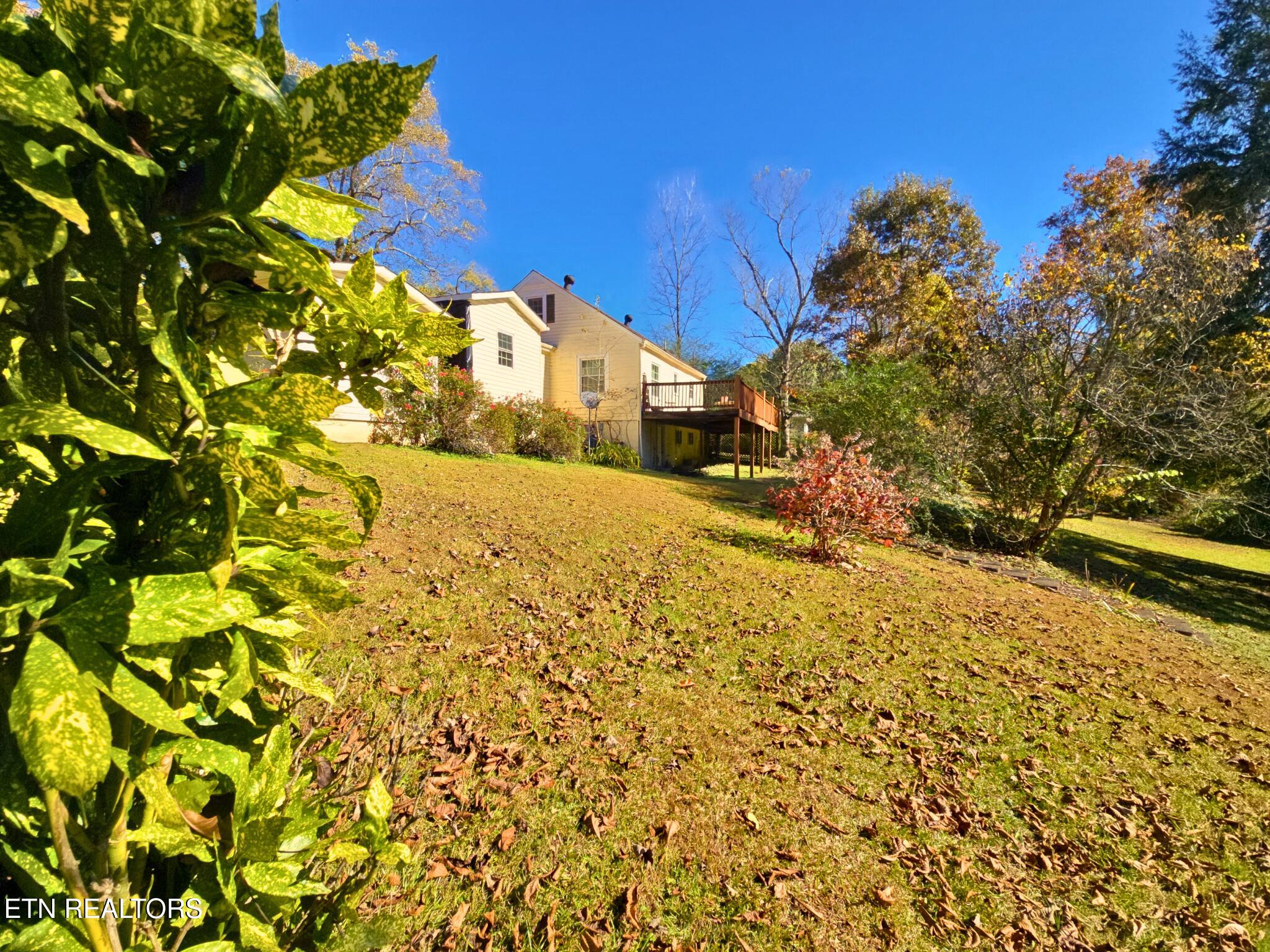 709 Southern Parkway Property Photo 6