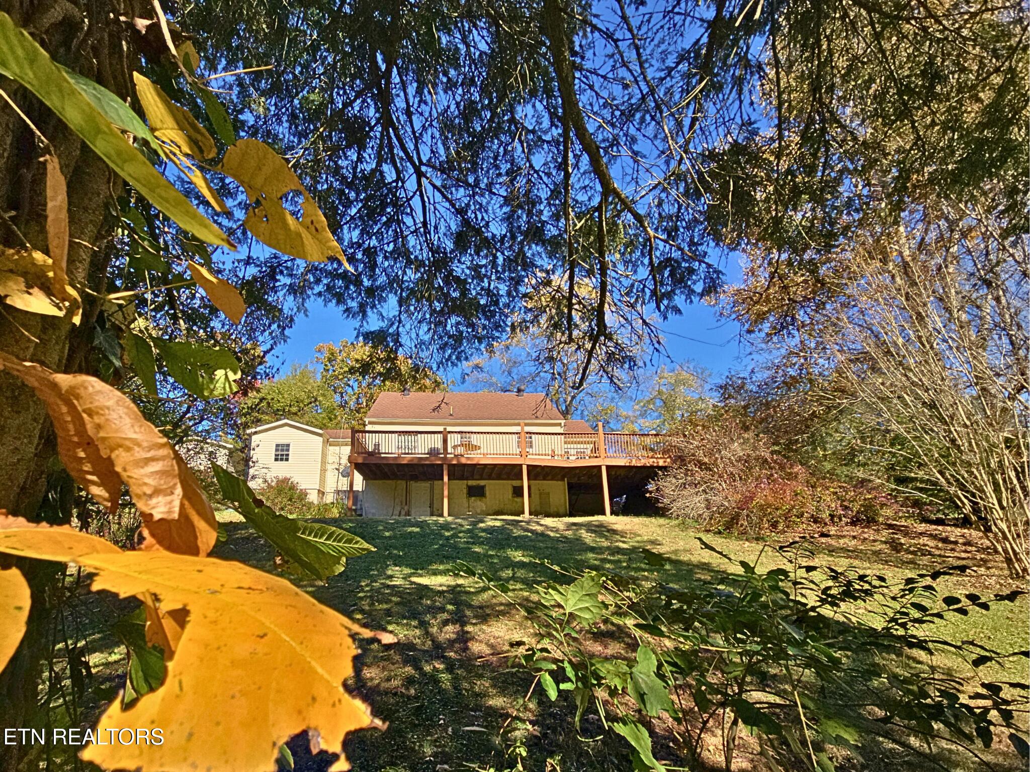 709 Southern Parkway Property Photo 8