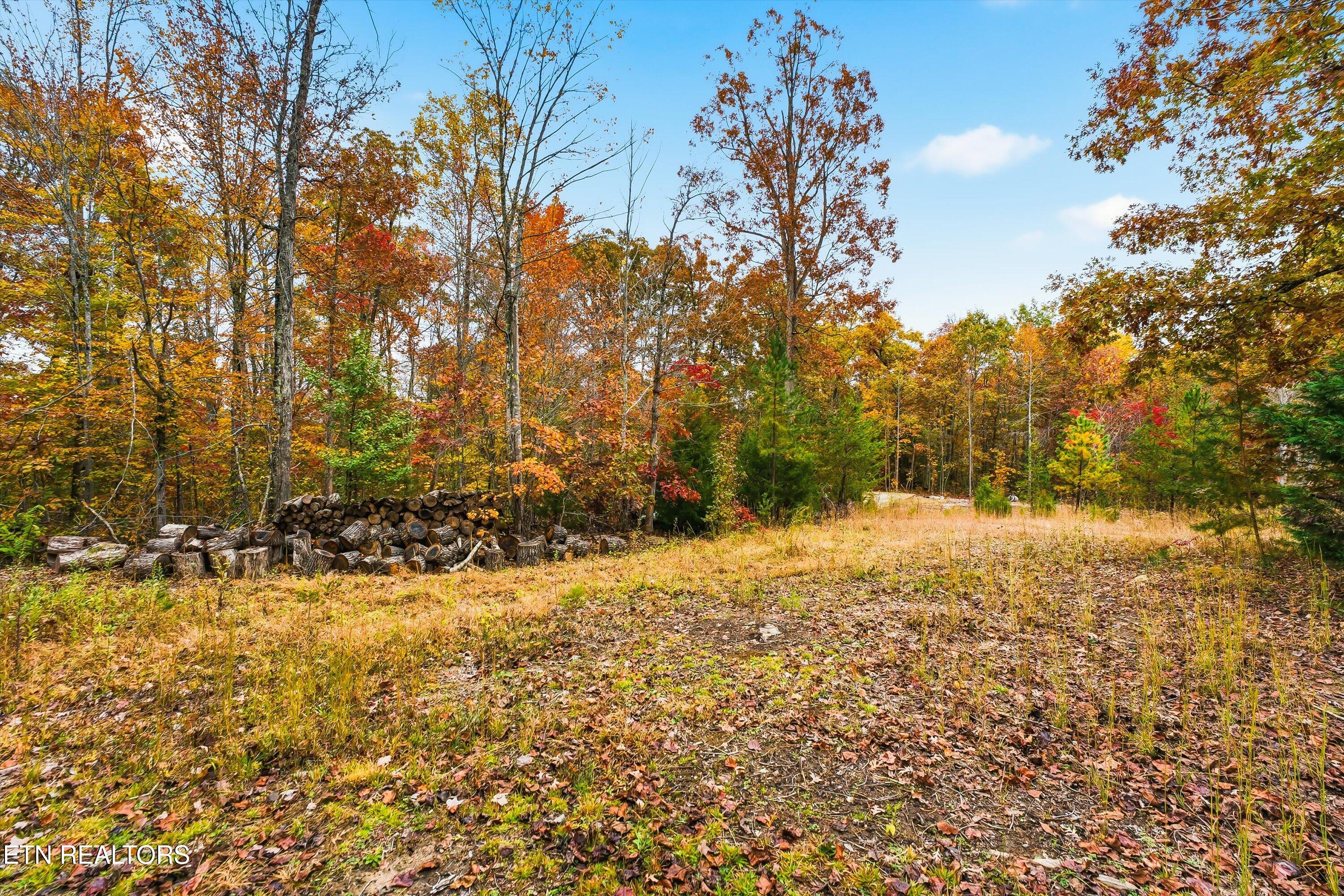 2752 Murray Ridge Rd Property Photo 33