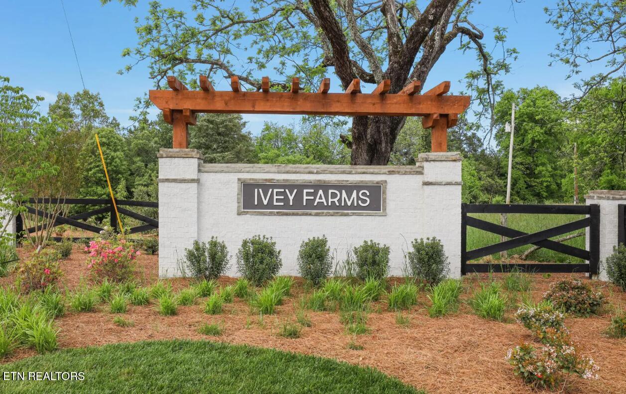 453 Ivey Farms Road (lot 65) Property Photo 4