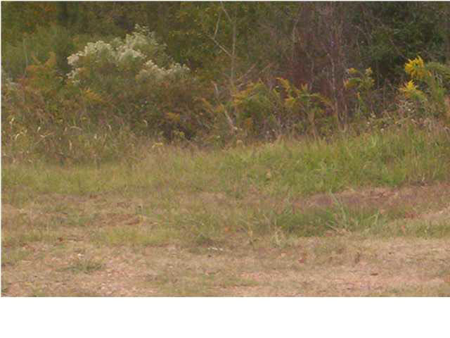 0 Highway 80 Highway Property Photo 2