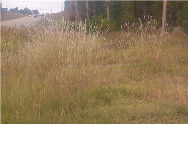 0 Highway 80 Highway Property Photo 3