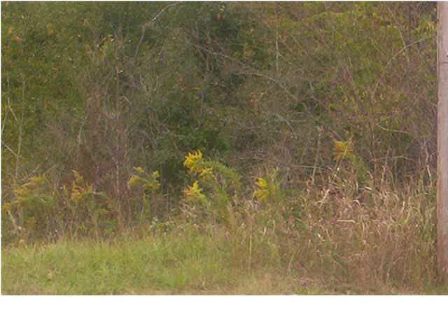 0 Highway 80 Highway Property Photo 4