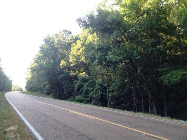 Parcel 4 Highway 98 Property Photo 1