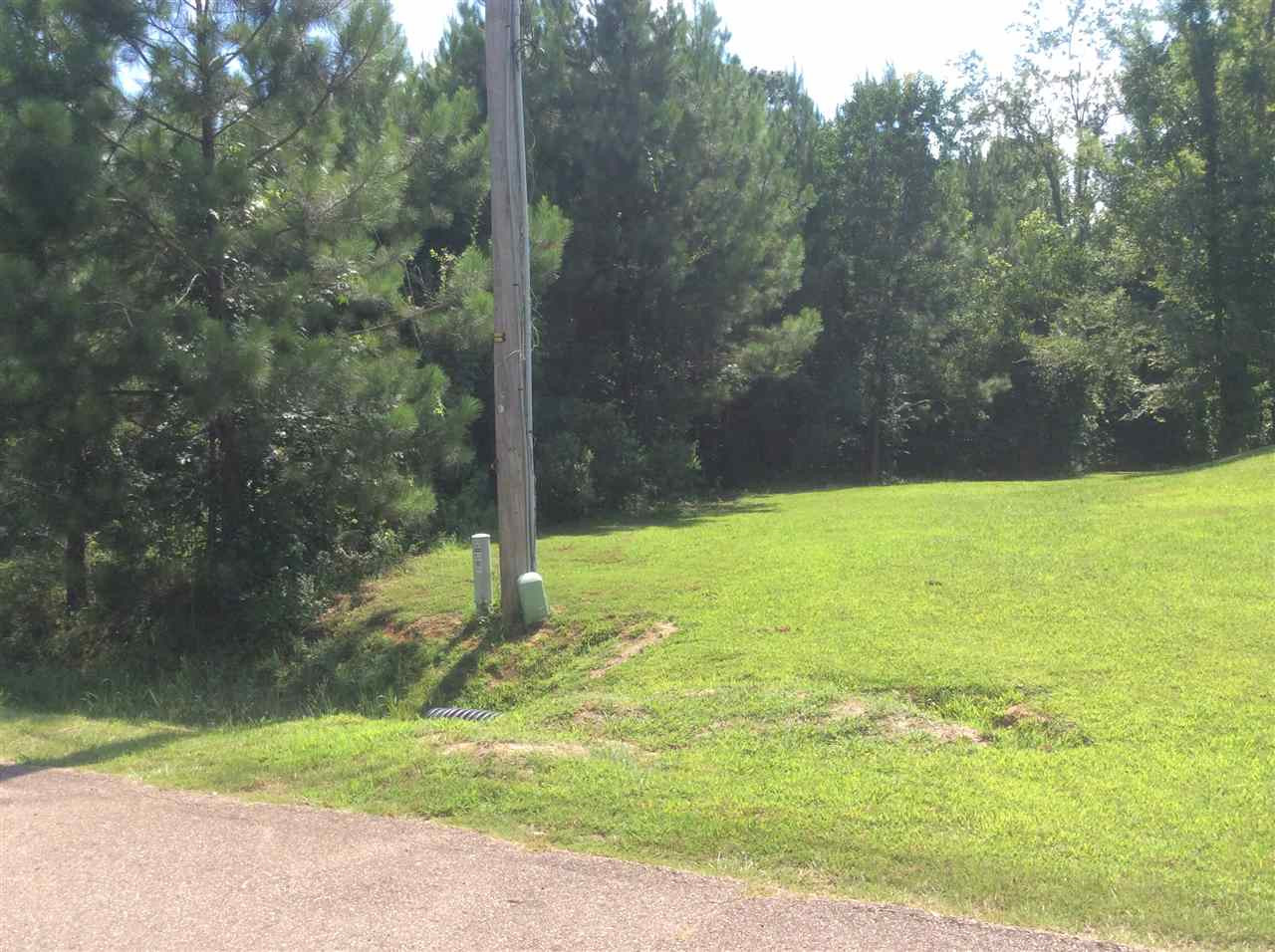 737 Forest Woods Drive Property Photo 1