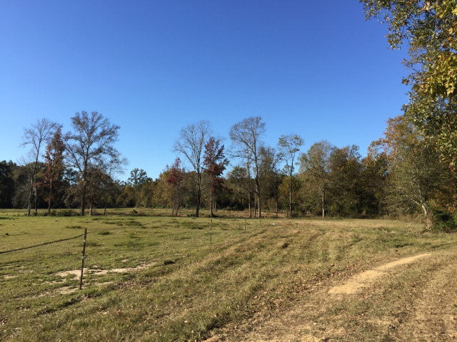 00 Hwy 24/whites School Road Property Photo 1