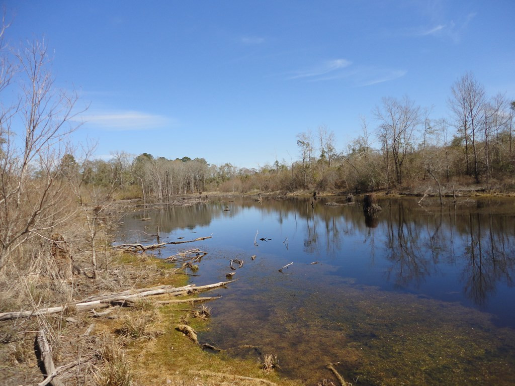 226 Blue Lake Road Property Photo 4