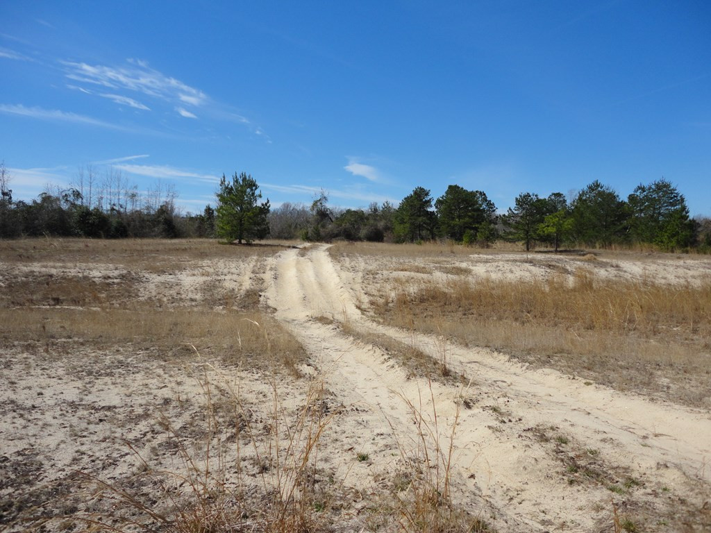 226 Blue Lake Road Property Photo 8