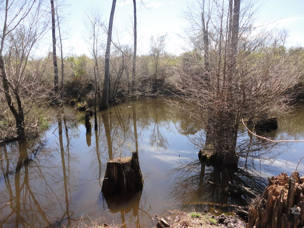 226 Blue Lake Road Property Photo 11