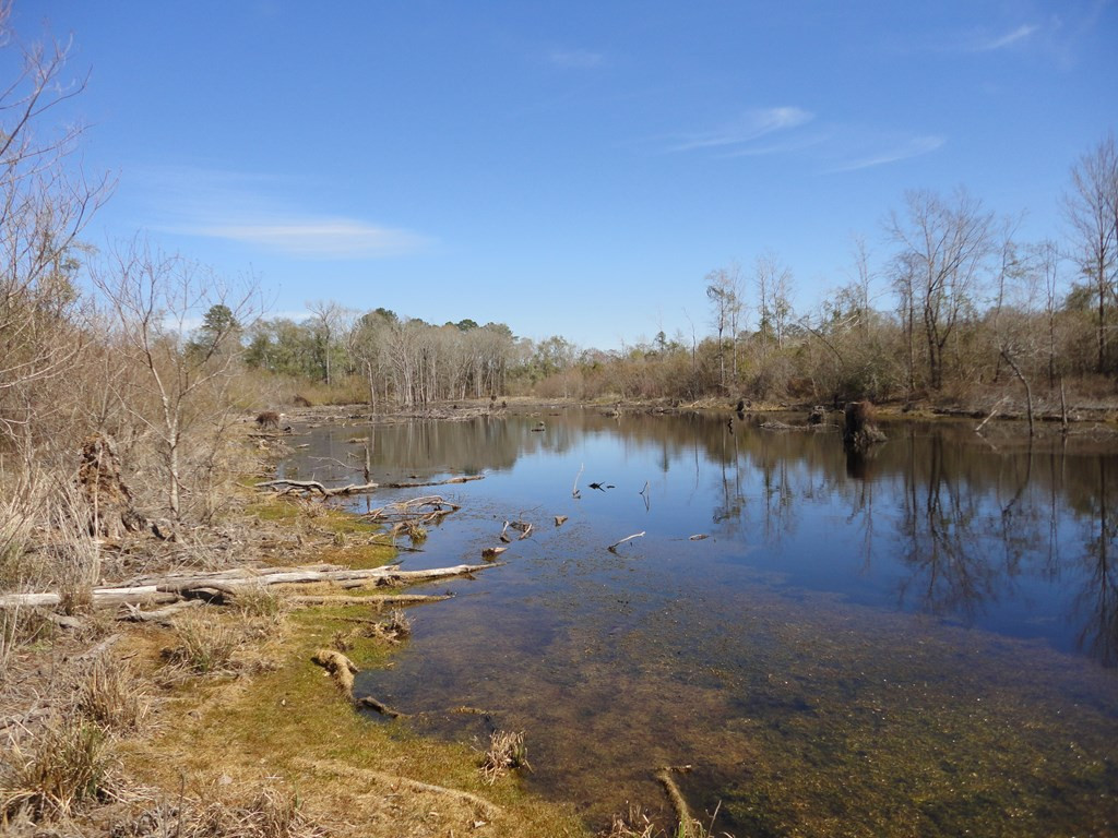 226 Blue Lake Road Property Photo 14