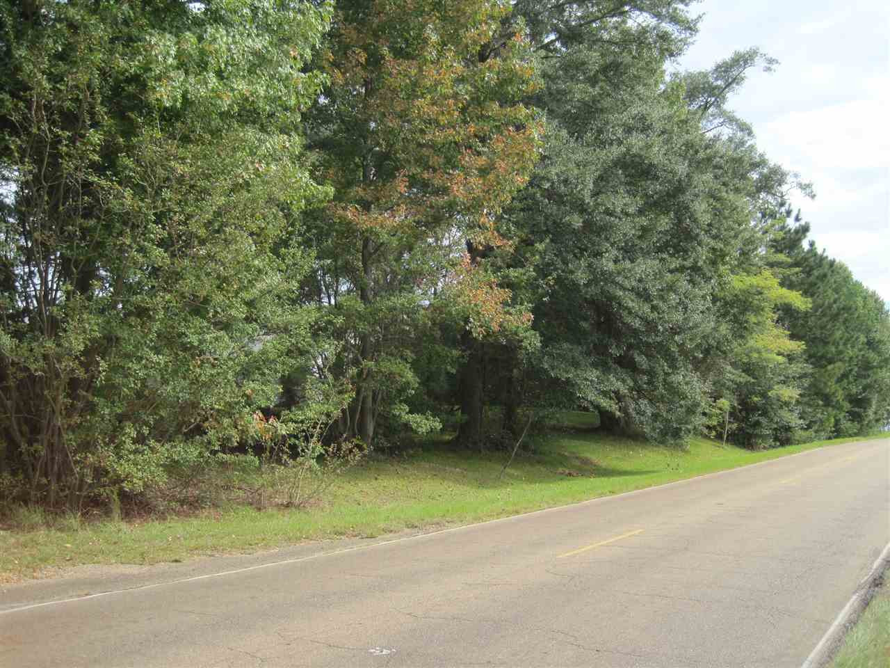 330 Elton Road Property Photo 5