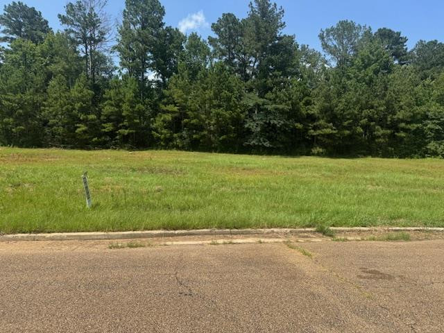 Lot 4 Business Center Drive Property Photo 1