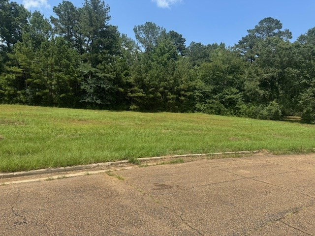 Lot 4 Business Center Drive Property Photo 4