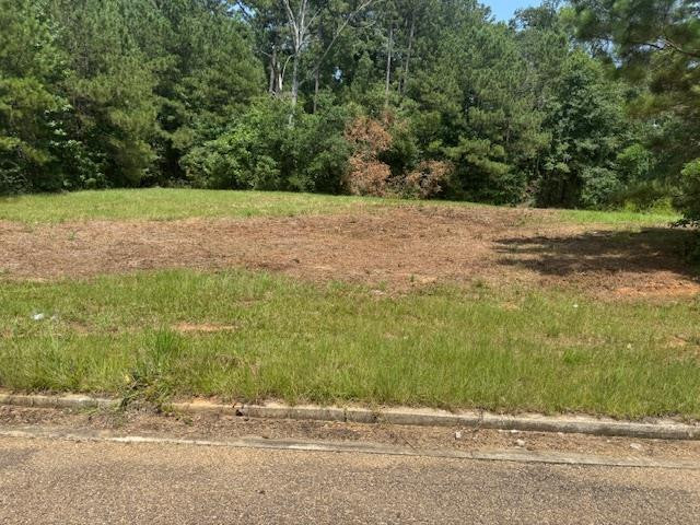 Lot 5 Business Center Drive Property Photo 1