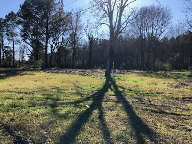 Highway 35 Property Photo 2