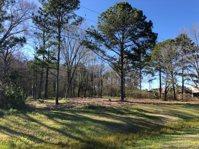 Highway 35 Property Photo 3
