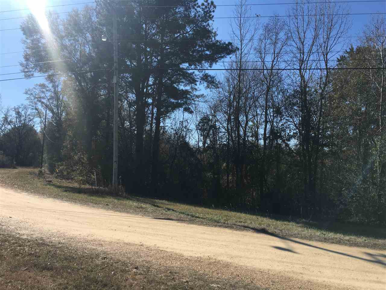 0 S U Highway 49 Property Photo 4