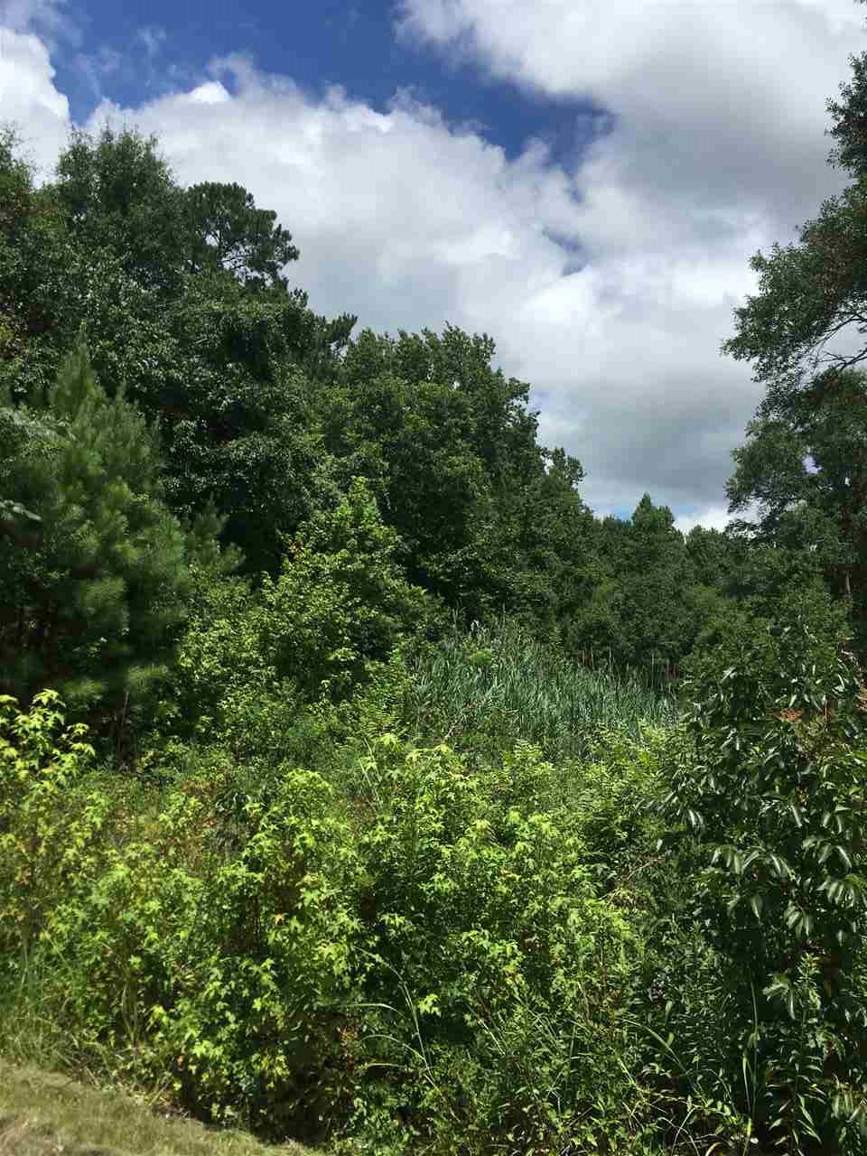 Mulberry Street Property Photo 1